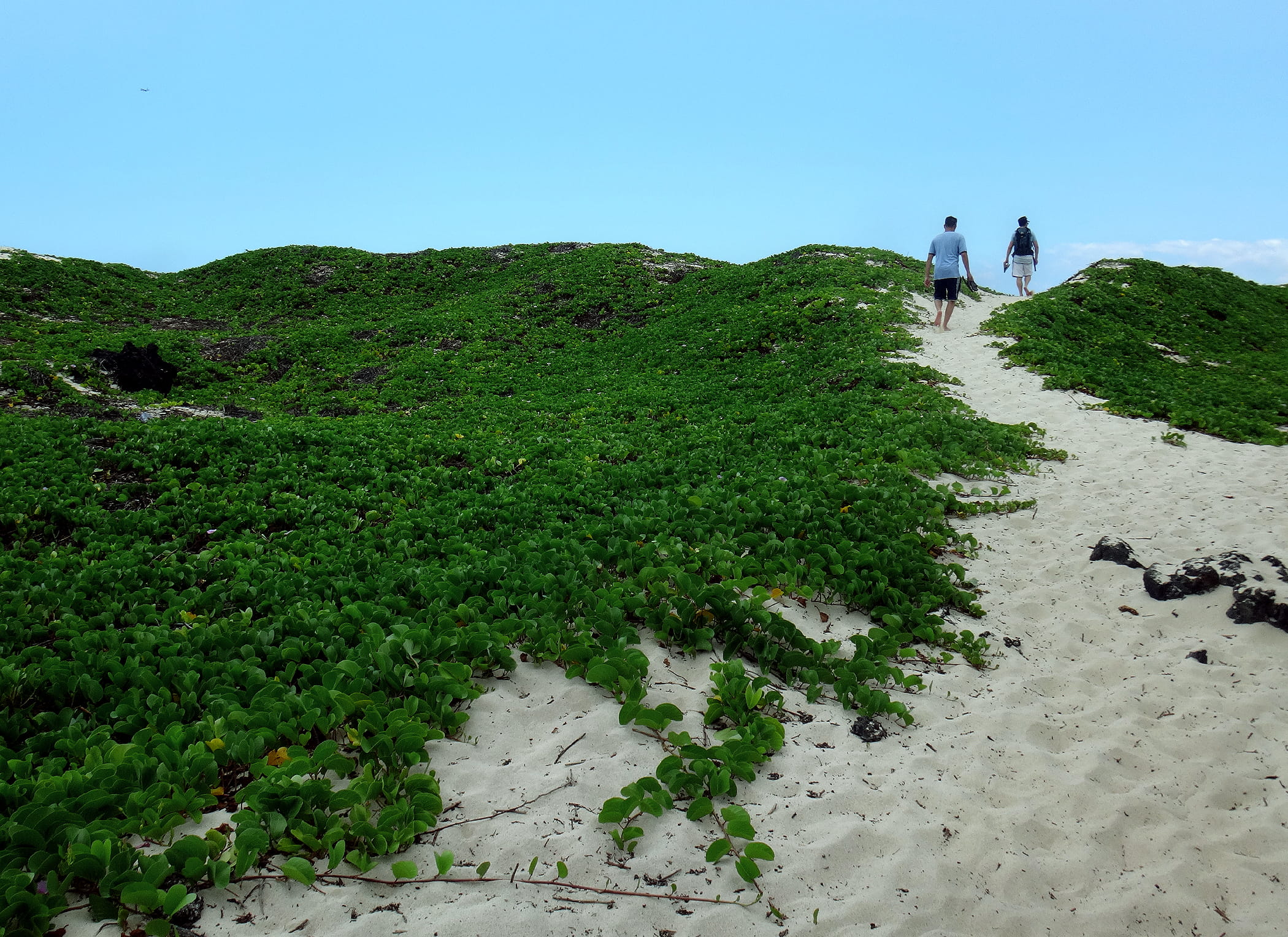 day, scenics - nature, beautiful, boy, nature, blue, 1080P, leisure activity, green, beach, sky, people, tranquility, adult, kailua-kona, rear view, mountain, HD Wallpaper