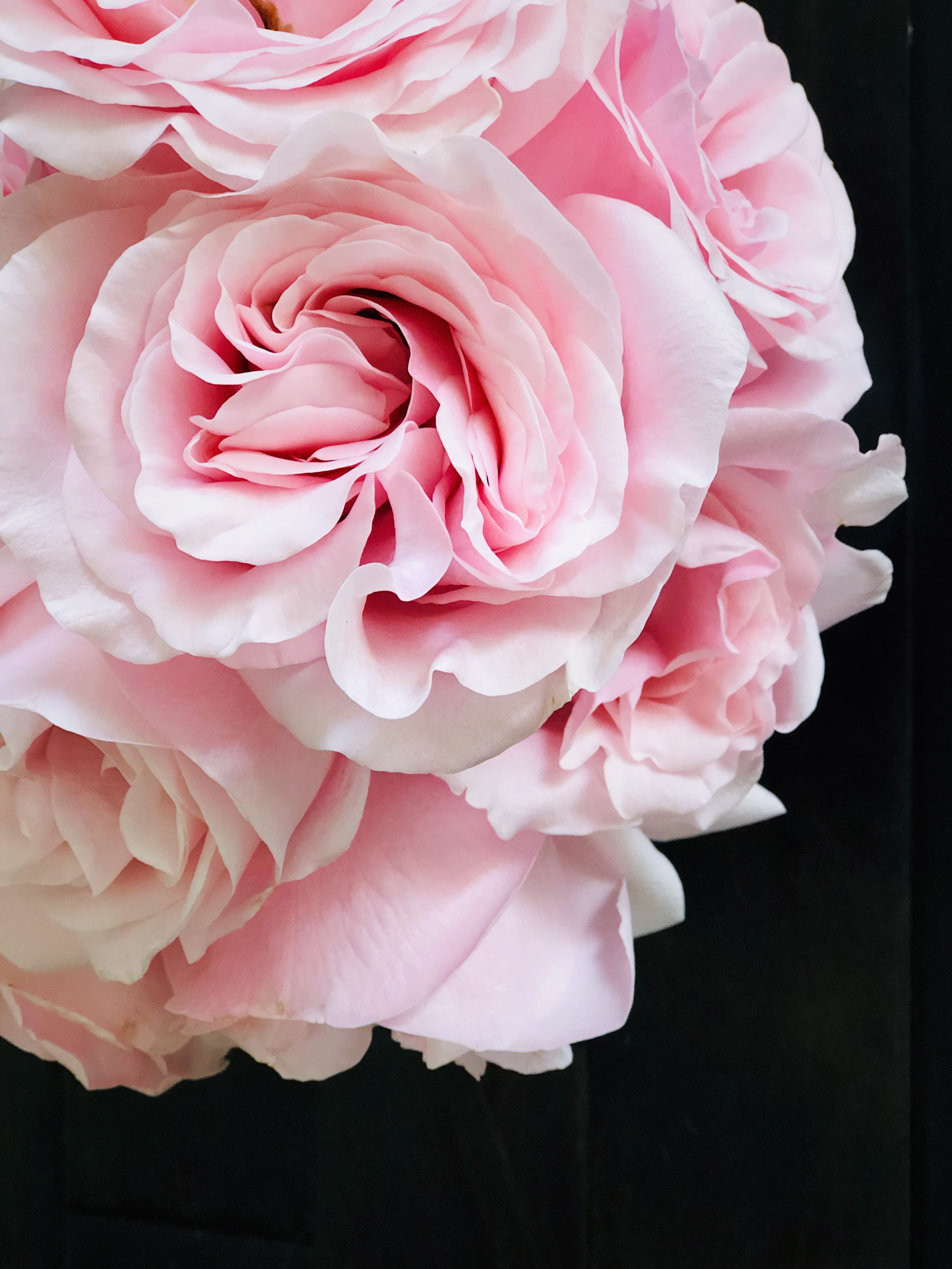 vulnerability, jewelry, diamond, fragility, west palm beach, accessory, accessories, beauty in nature, flower arrangement, black background, no people, Phone HD Wallpaper
