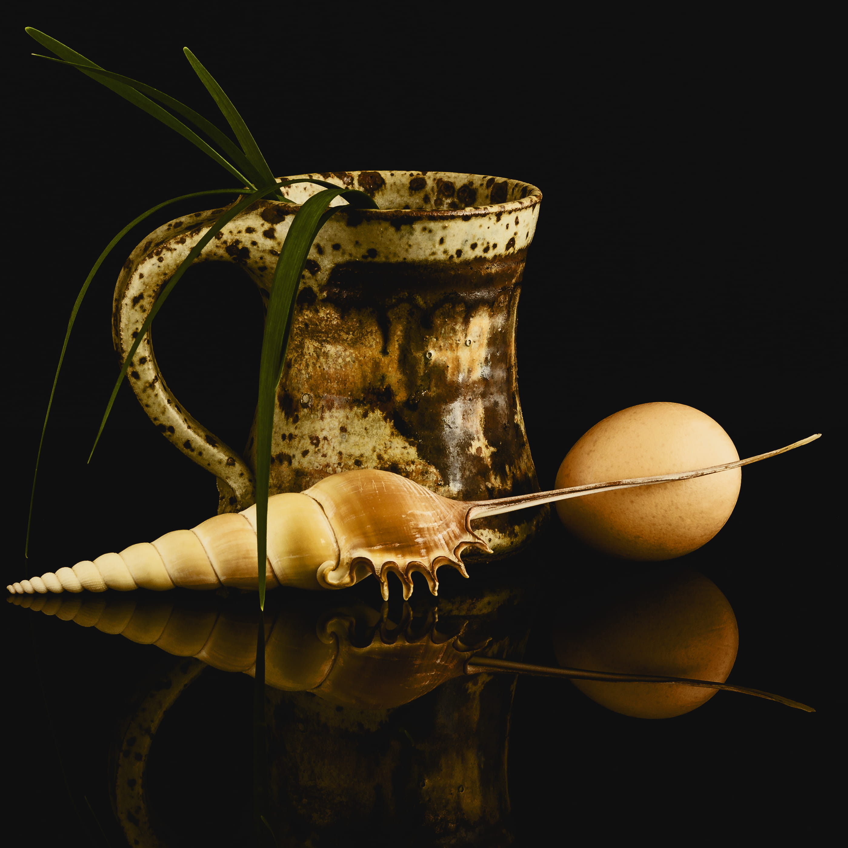 black background, handmade, seashell, ceramic, drink, food and drink, wellbeing, sea shell, no people, fruit, egg, still life, two objects, pitcher - jug, Phone HD Wallpaper
