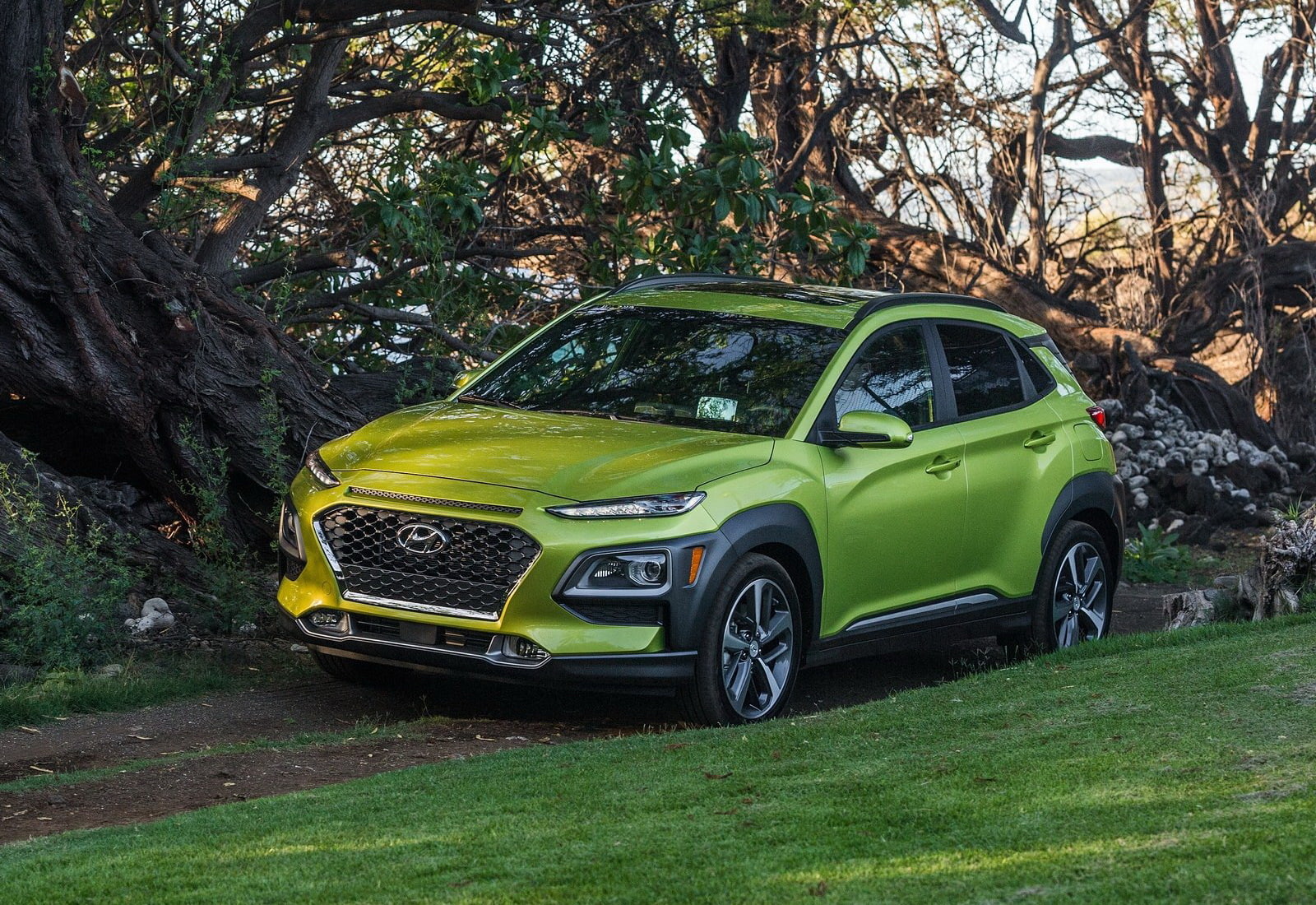 day, nature, motor vehicle, transportation, land vehicle, tree trunk, hyundai, tree, 720P, car, land, retro styled, green color, kona, [us], growth, stationary, HD Wallpaper