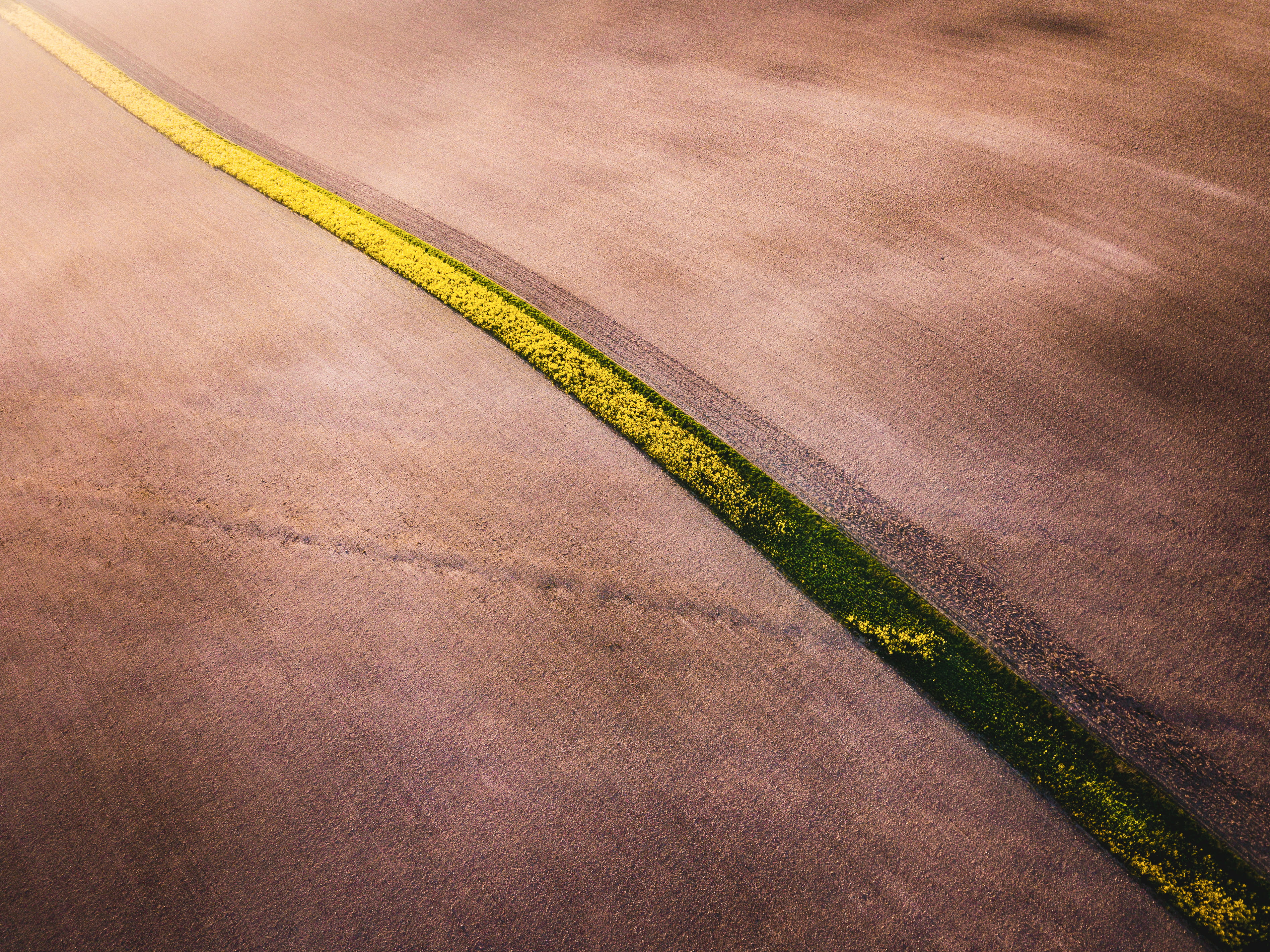 travel, asphalt, tire track, country, green, leading line, rural, bloom, nature, countryside, dividing line, transportation, field, environment, brown, HD Wallpaper