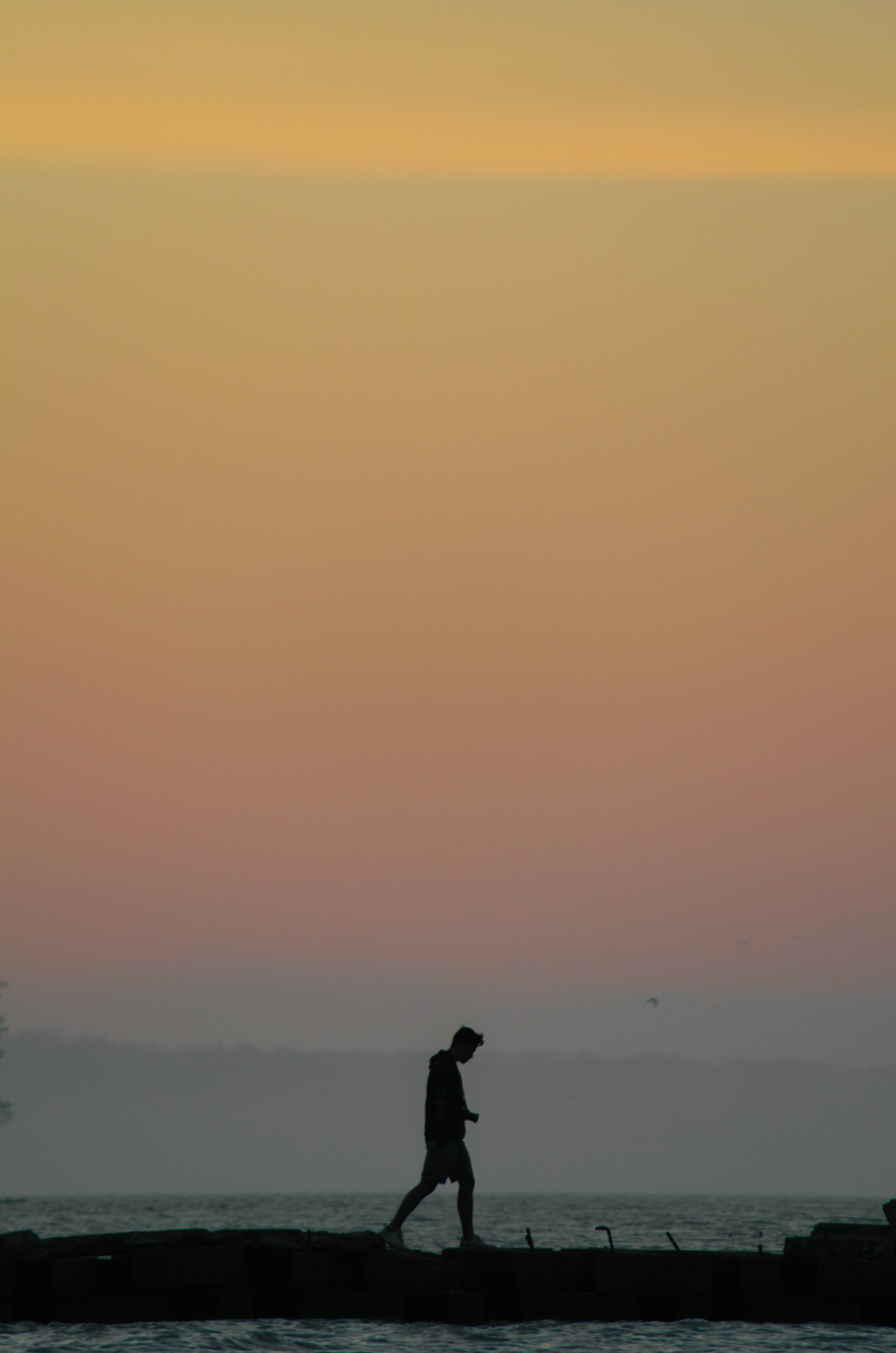 unsplash, water, horizon over water, tranquility, sea, nature, one person, layers, foggy, moody, standing, real people, sky, land, atwater park, summer, Phone HD Wallpaper