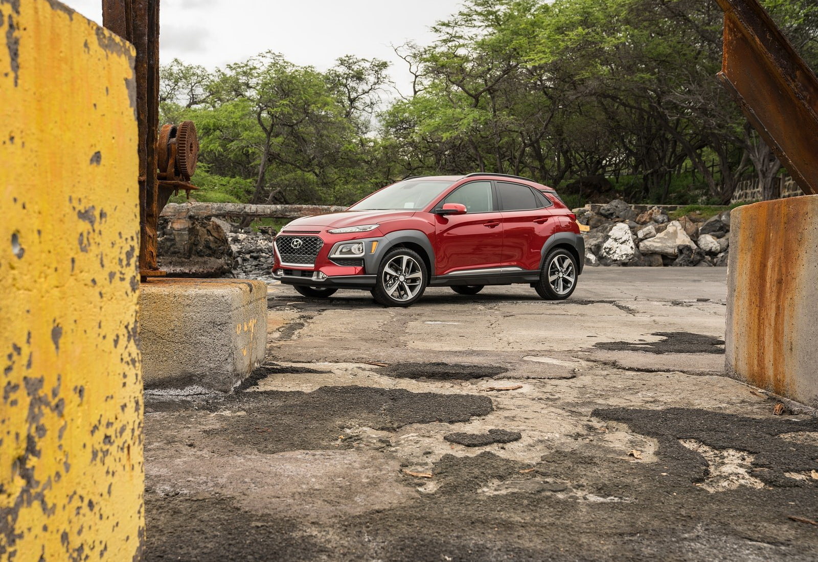 tree, nature, plant, day, no people, (2018), garage, stationary, car, hyundai, [us], mode of transportation, 720P, motor vehicle, outdoors, vintage car, HD Wallpaper