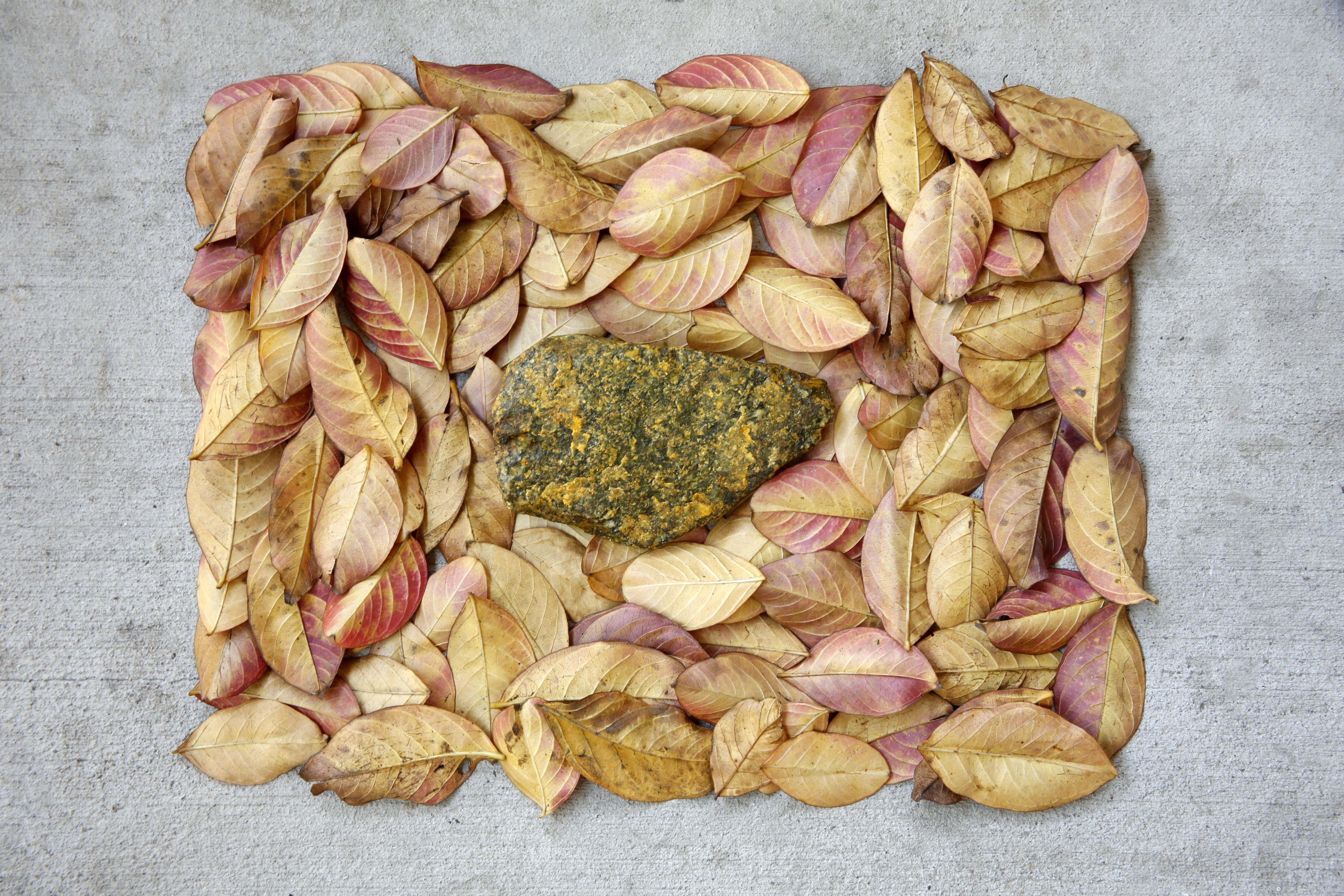 yellow, indoors, close-up, food and drink, snack, directly above, no people, strange, spice, freshness, studio shot, healthy eating, rock, food, nature, HD Wallpaper