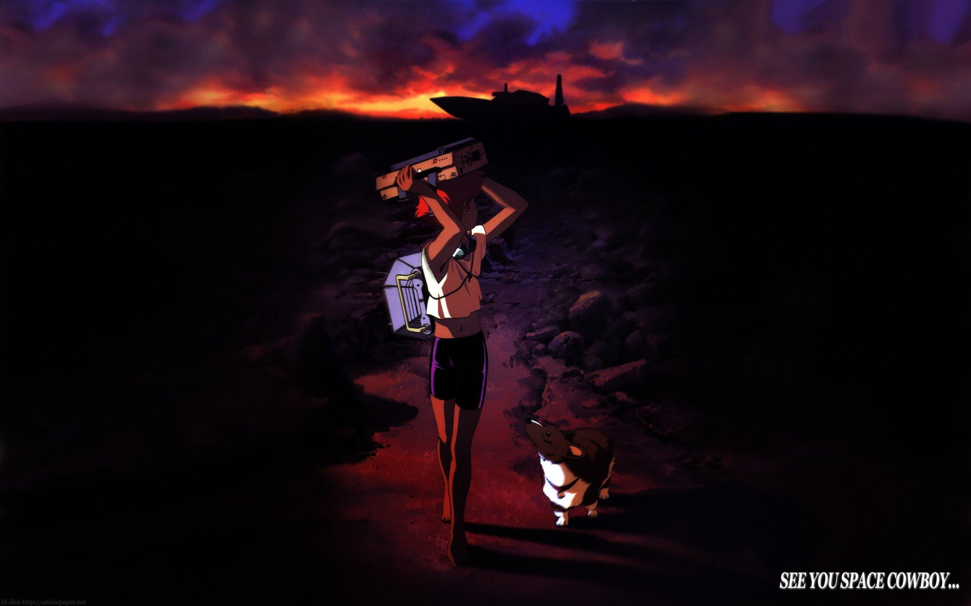 cowboy, edward, 1080P, bebop, ein, HD Wallpaper