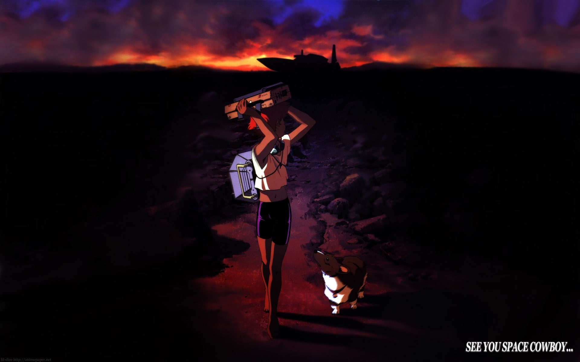 anime, 1080P, cowboy bebop, hd, ein, cowboy, edward, art, bebop, HD Wallpaper