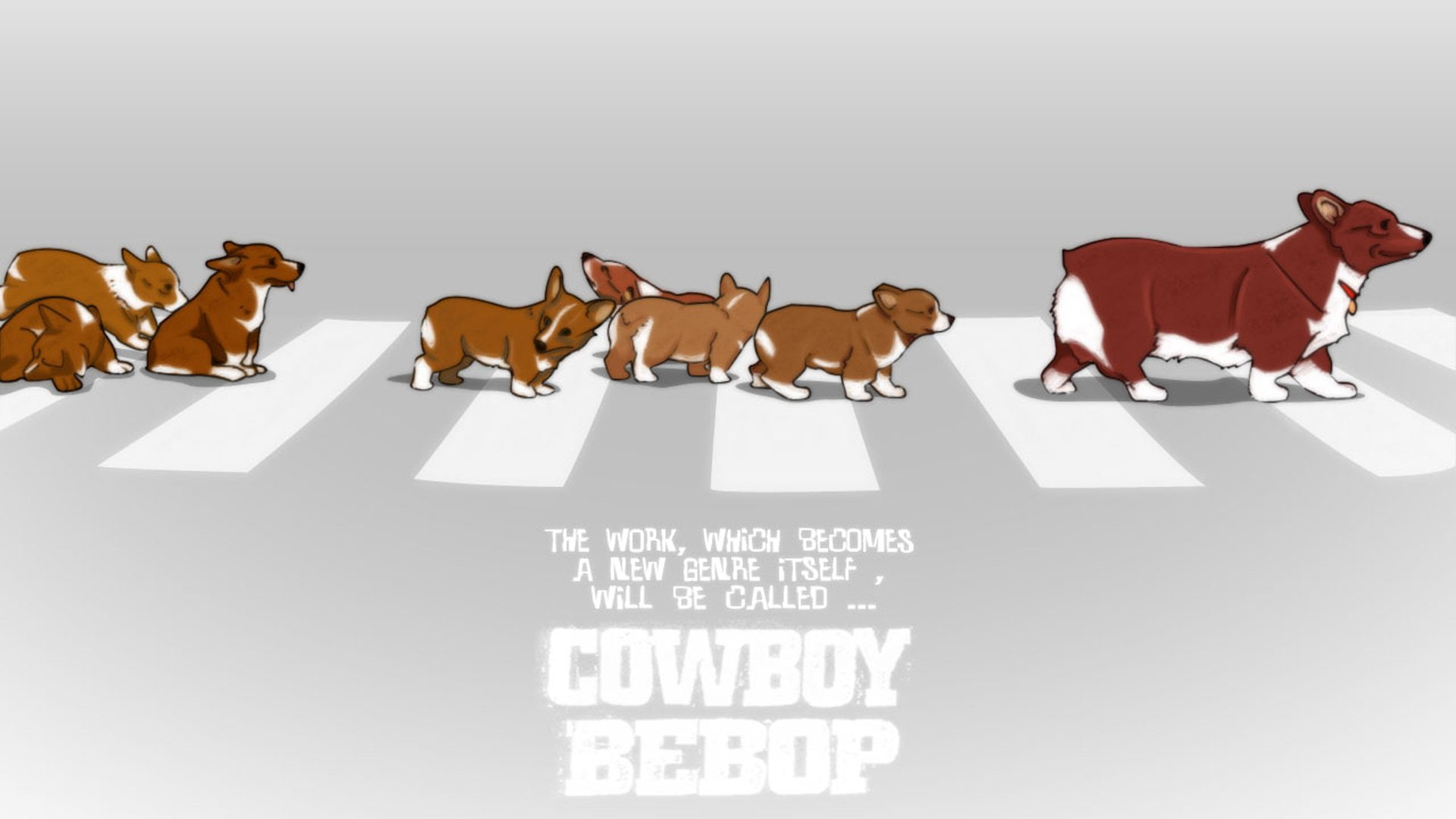 1080P, Cowboy Bebop, Ein (Cowboy Bebop), Anime, HD Wallpaper