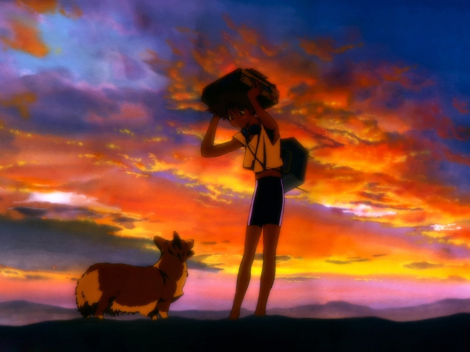 bebop, edward, 720P, cowboy, ein, HD Wallpaper