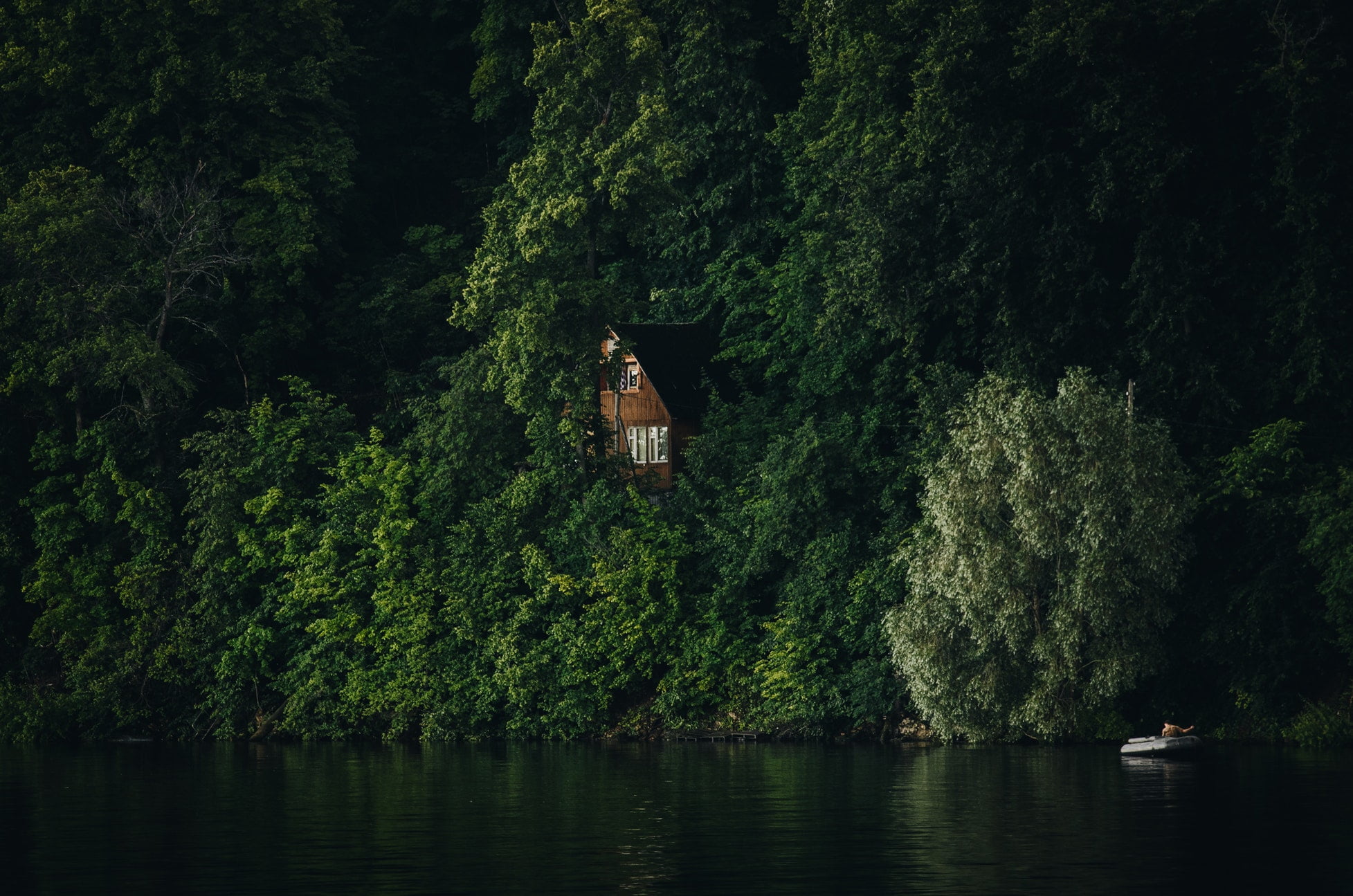 plant, tree, 1080P, outdoors, no people, landscape, water, day, beauty in nature, forest, photography, tree house, reflection, land, raft, nature, growth, HD Wallpaper