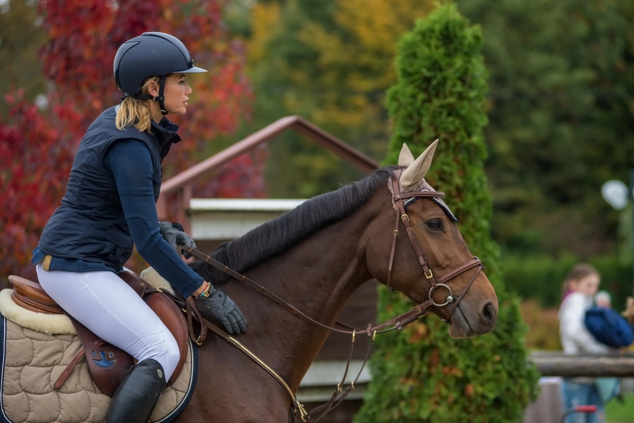 1080P, horserace, rider, horse, Croatia, HD Wallpaper