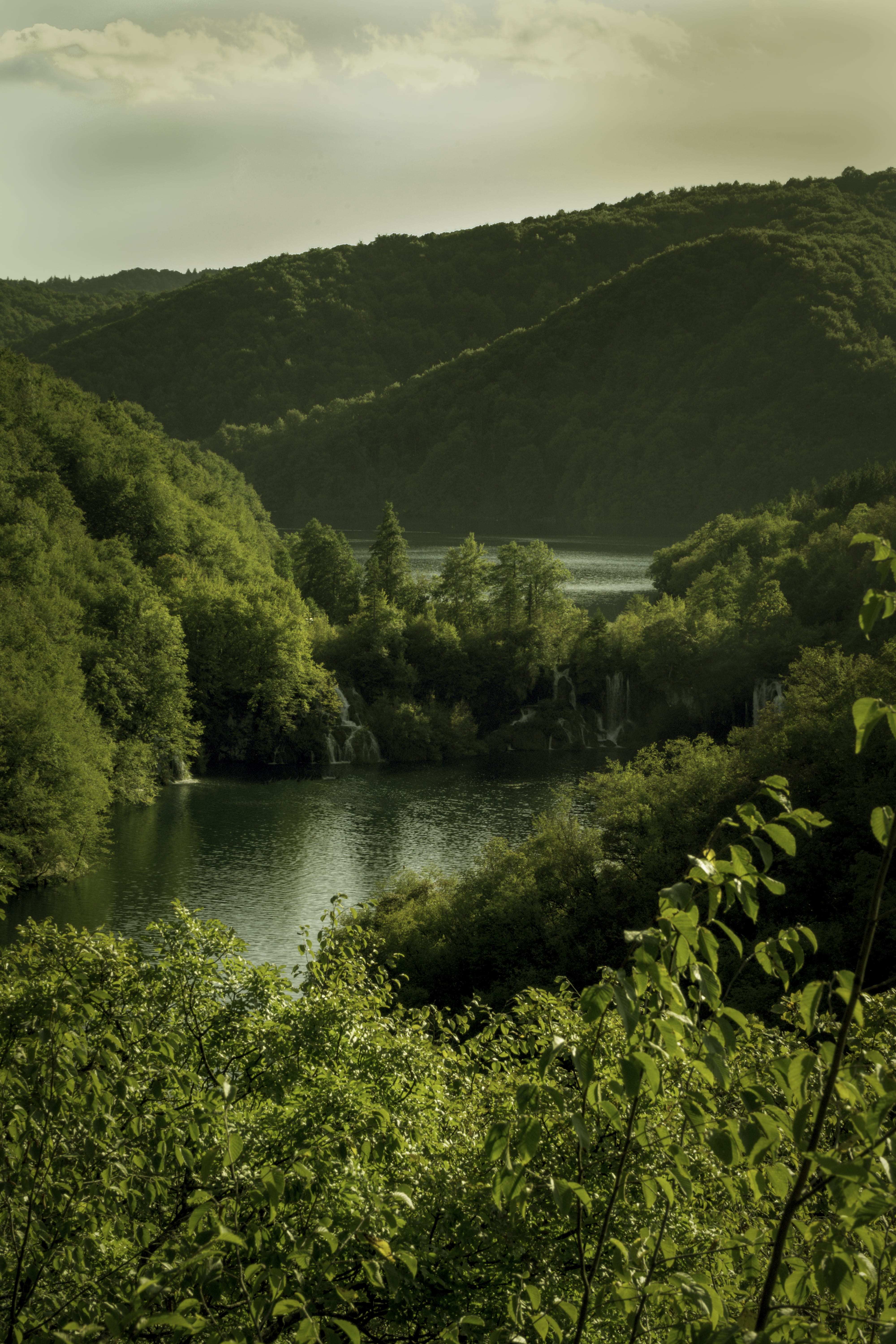 non-urban scene, green color, landscape, river, trees, scenics - nature, plitvice lakes national park, forest, environment, no people, growth, tranquility, Phone HD Wallpaper