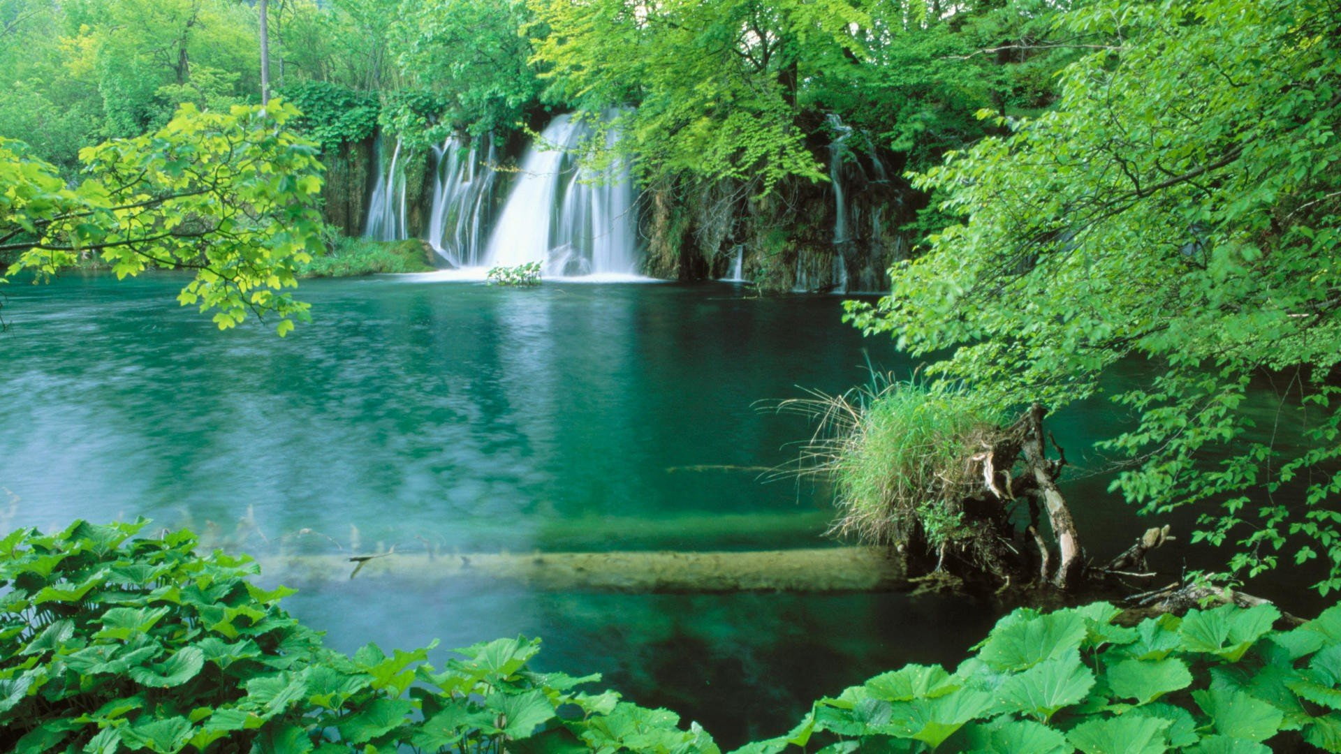 landscapes, national, plitvice, 1080P, croatia, park, lakes, waterfalls, HD Wallpaper