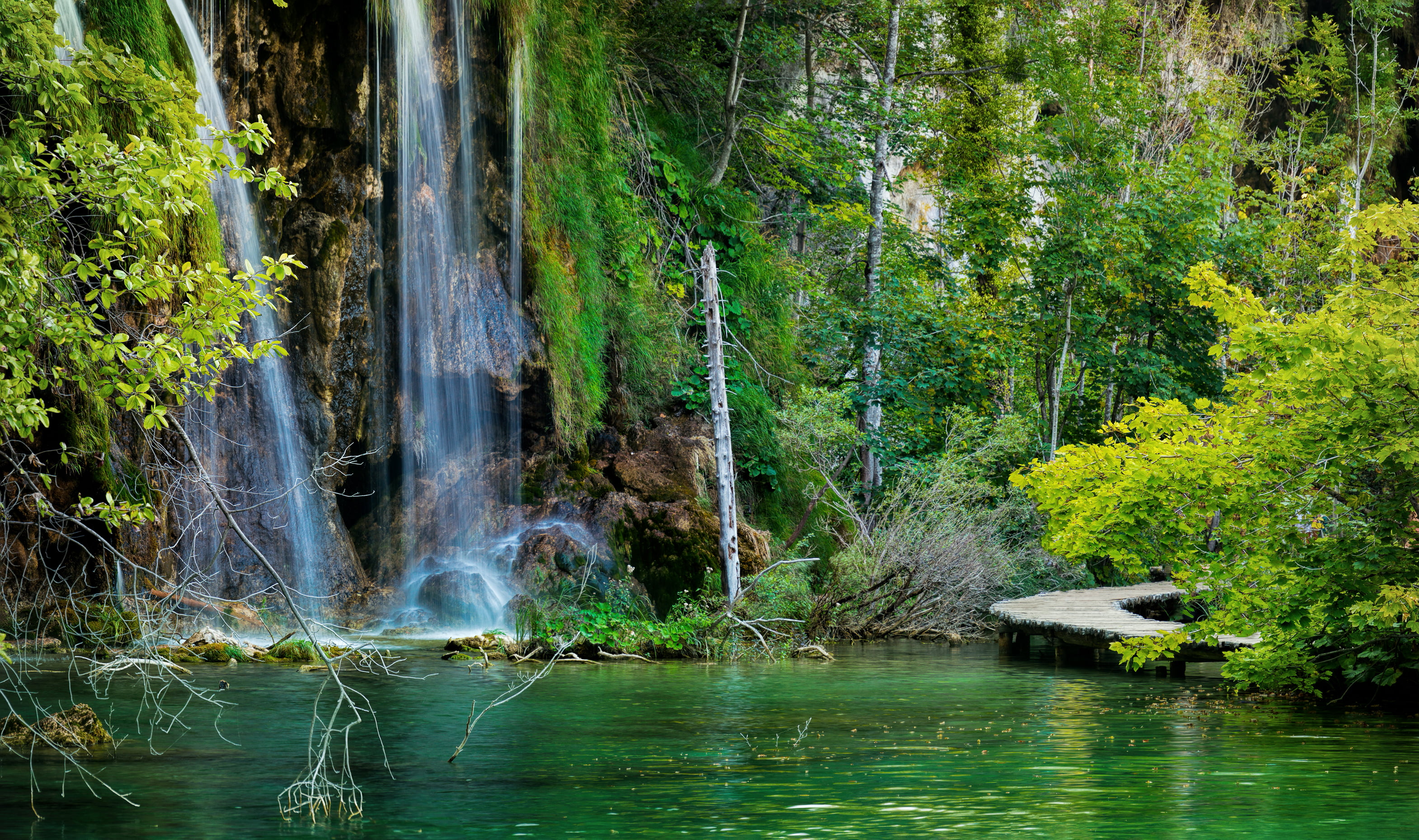 growth, non-urban scene, beauty in nature, water, flowing, woodland, power in nature, plant, rainforest, body, waterfront, forest, bridges, no people, tranquility, HD Wallpaper
