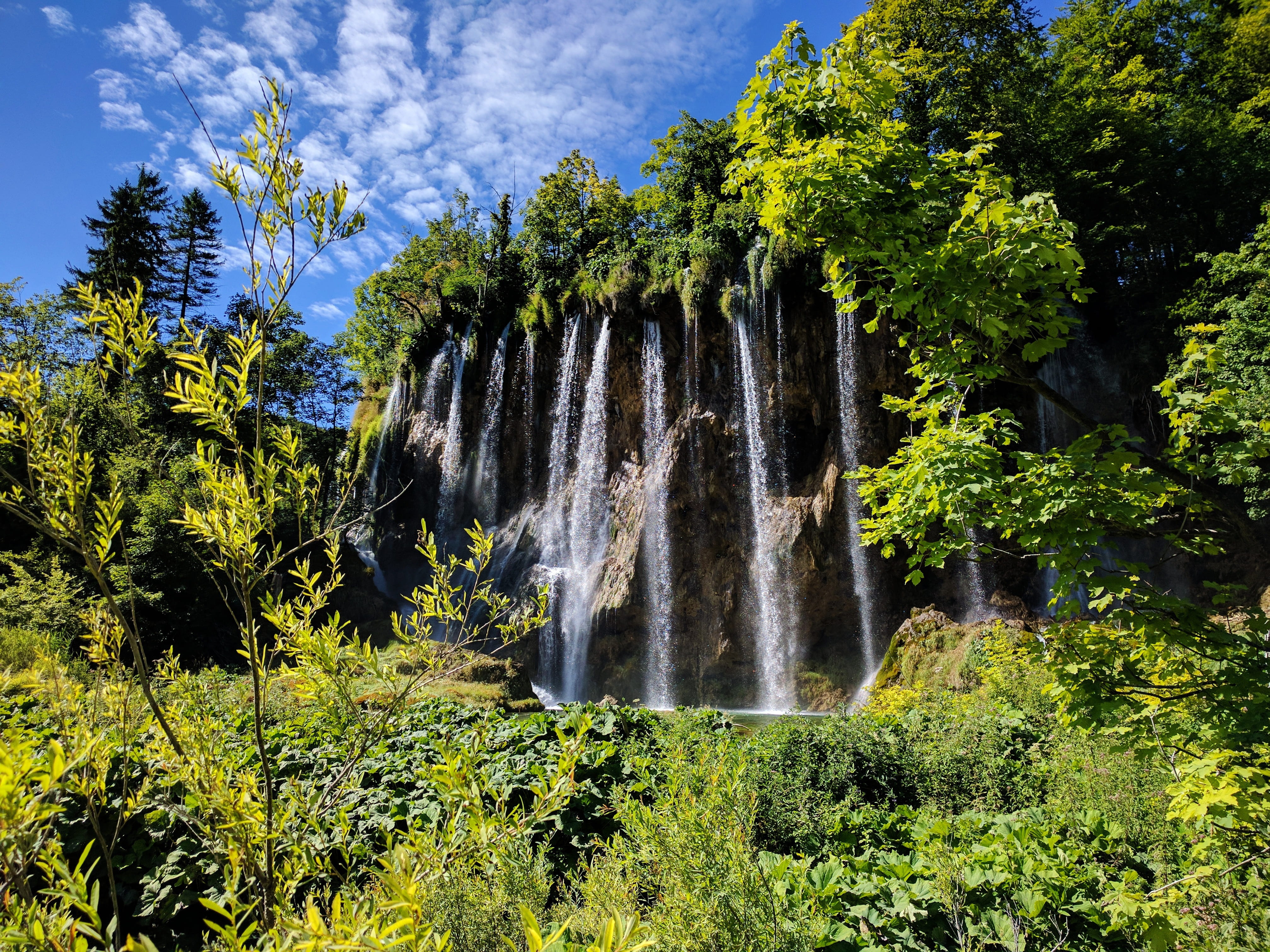 plant, rainforest, lapse, green color, 4K, photography, lake, growth, flowing, white, beauty in nature, land, day, flowing water, forest, falls, scenics - nature, HD Wallpaper
