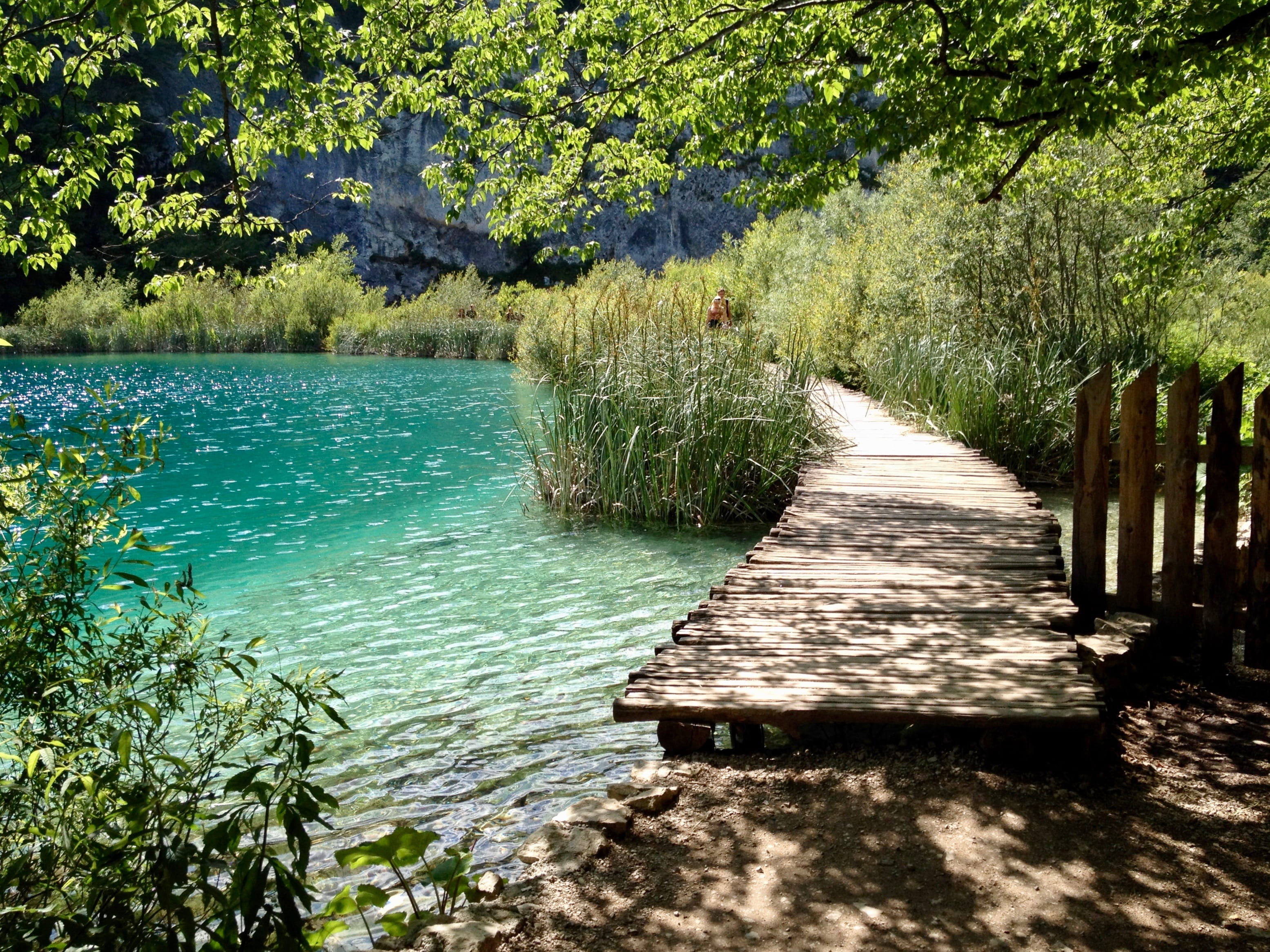 growth, sunlight, scenics - nature, water, footpath, tranquil scene, the way forward, day, no people, lake, plant, tranquility, croatia, grass, green color, HD Wallpaper