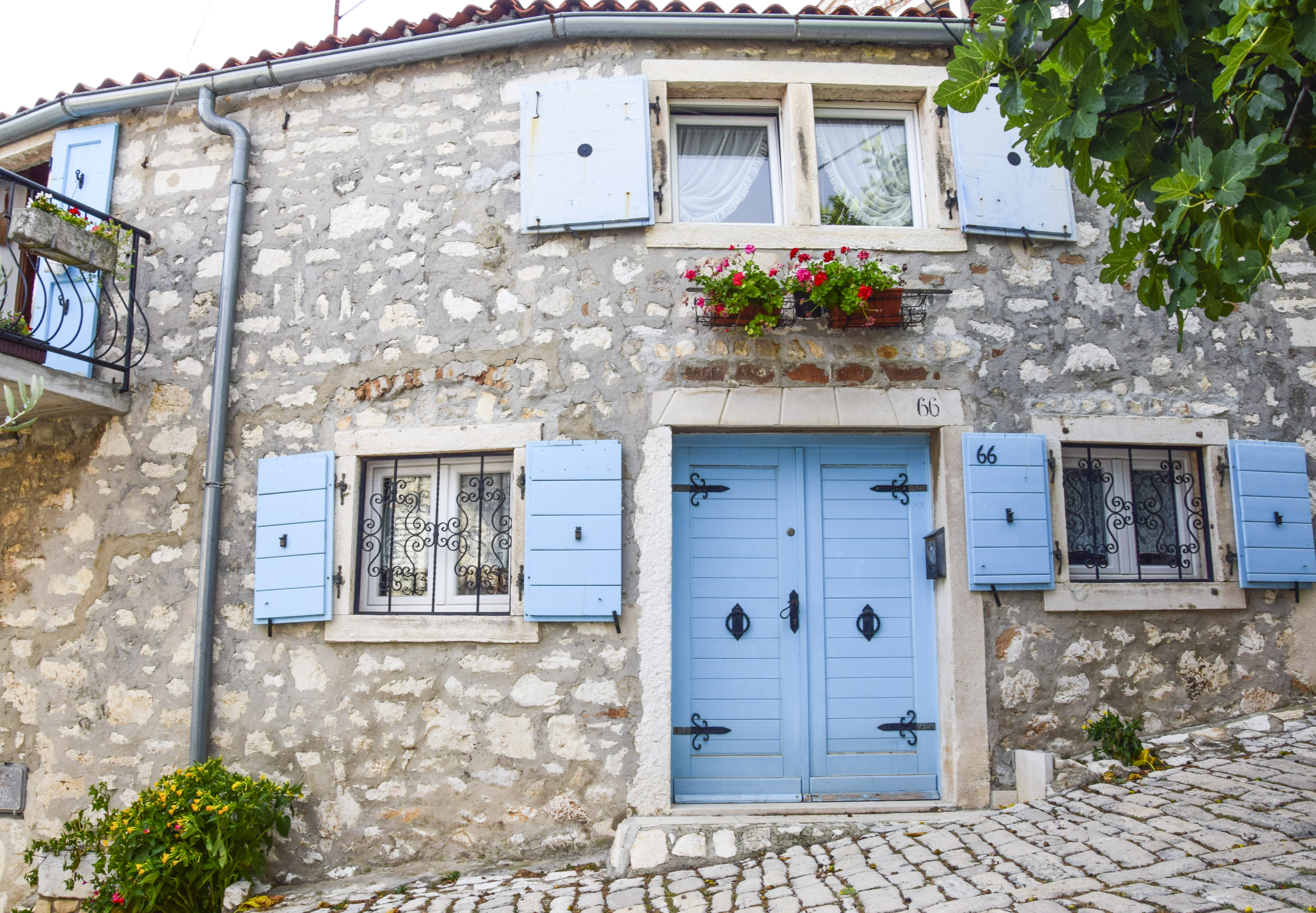 beautiful, growth, potted plant, window, house, colourful, entrance, croatia, day, rovinj, sea, door, security, stone wall, no people, building, residential district, HD Wallpaper
