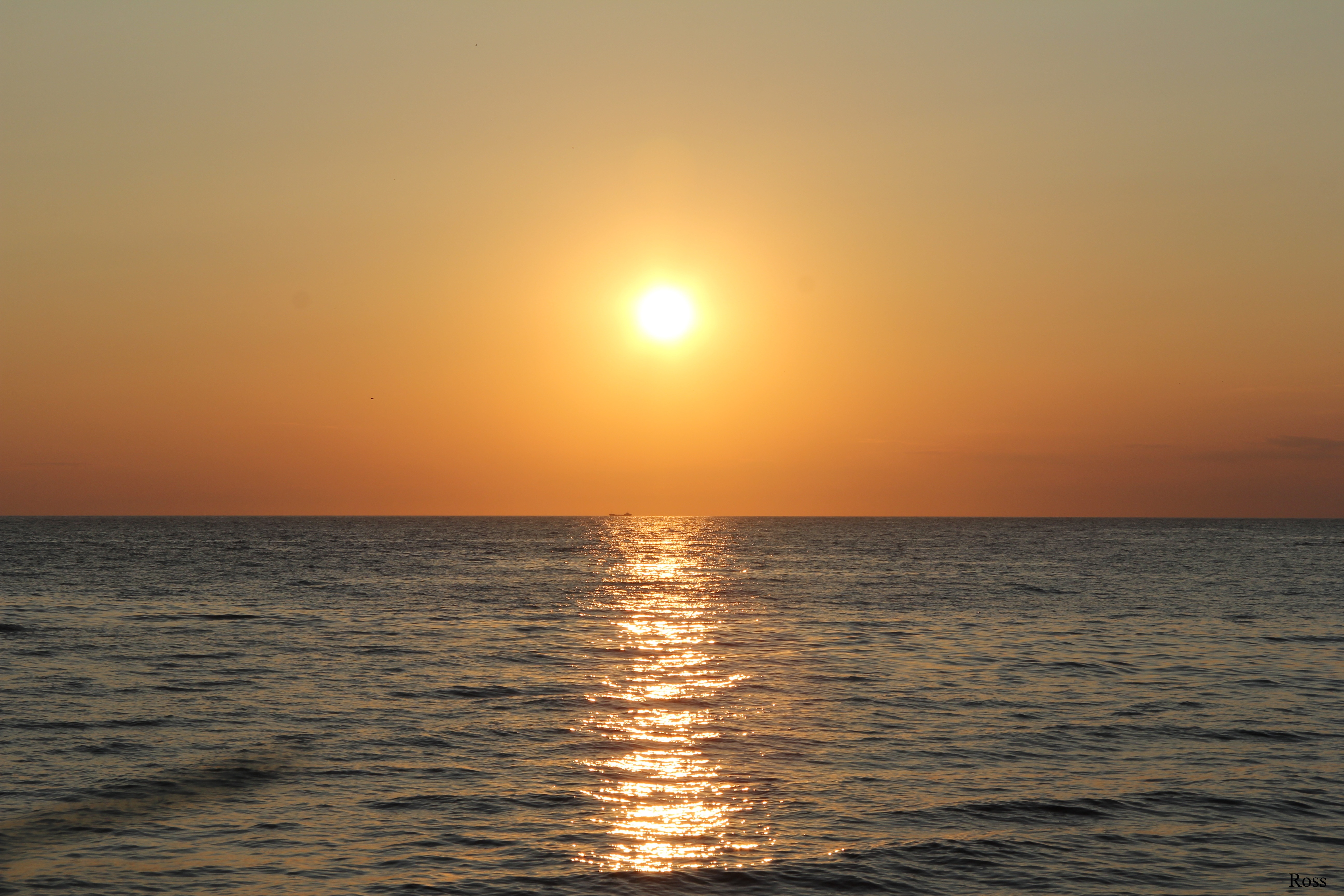 hour, scenics - nature, sun, istria, sky, sunset, nature, calm, dramatic sky, horizon over water, no people, sea, golden, water, sunlight, croatia, outdoors, HD Wallpaper