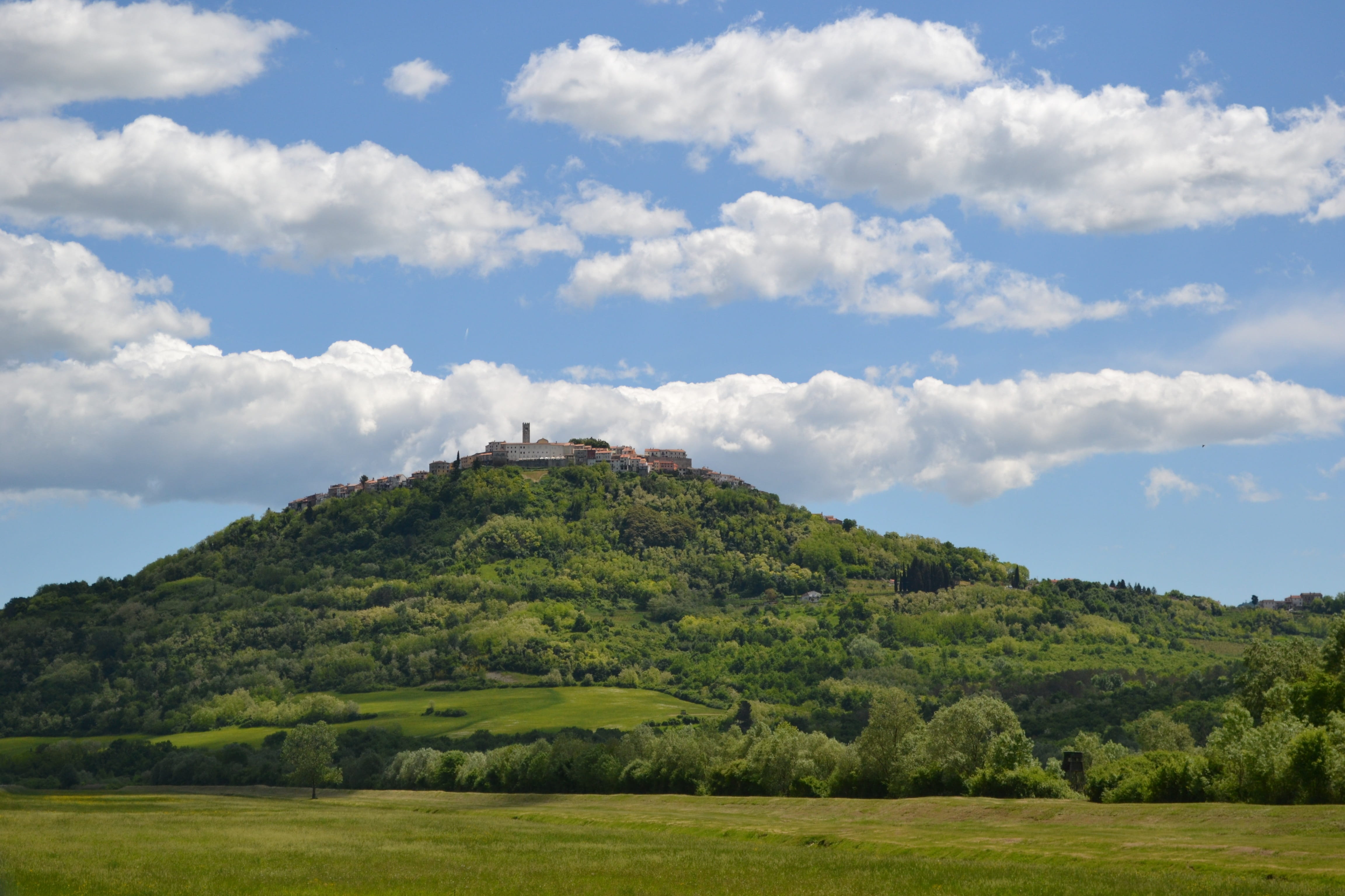 building exterior, europe, field, motovun, tranquility, scenics - nature, landscape, historical, history, istria, famous, tree, plant, old, land, village, HD Wallpaper