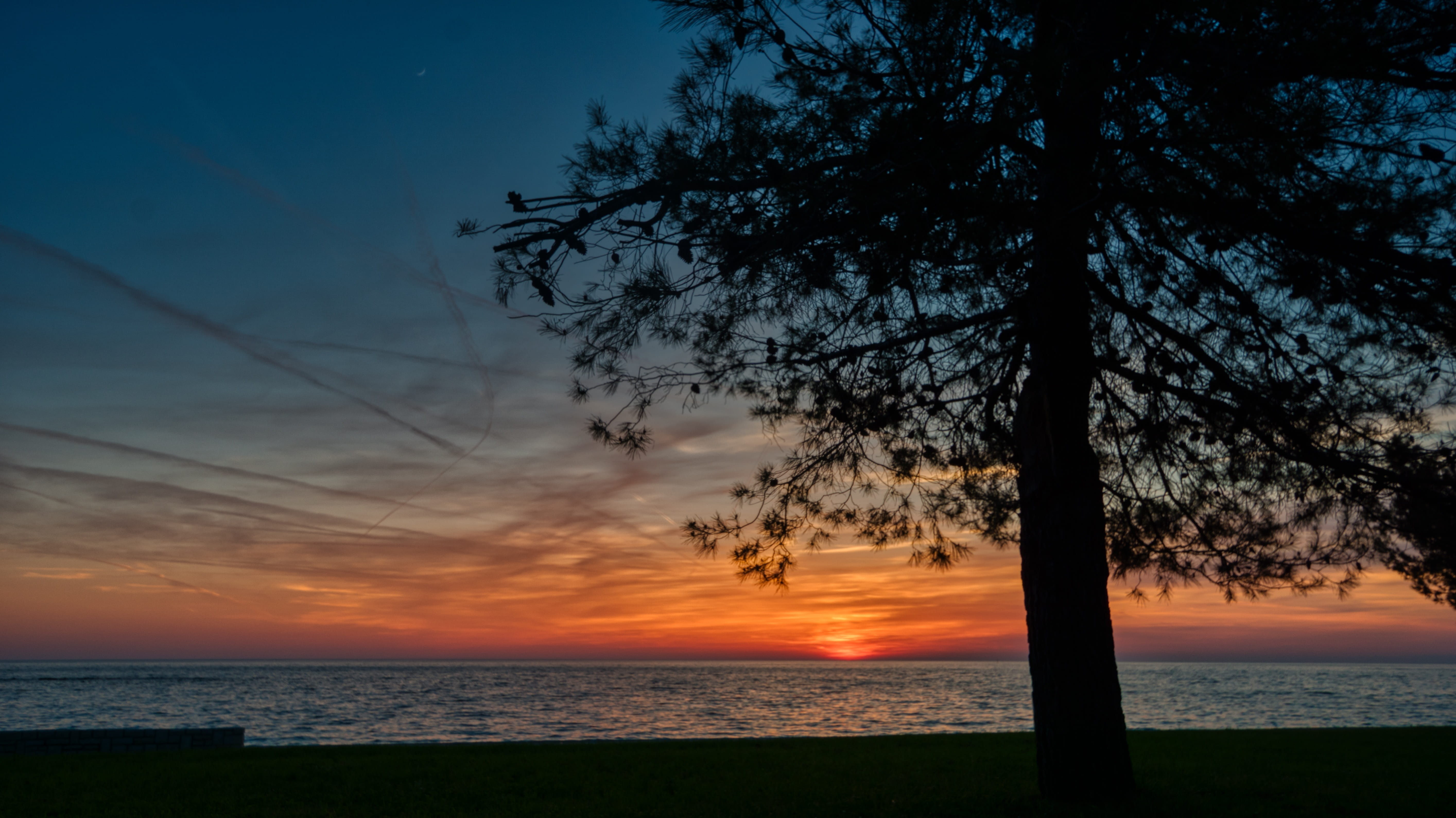 sunset, silhouette, horizon, plant, evening sky, tranquility, porec, beauty in nature, tree, outdoors, 5K, istria, cloud - sky, horizon over water, land, HD Wallpaper