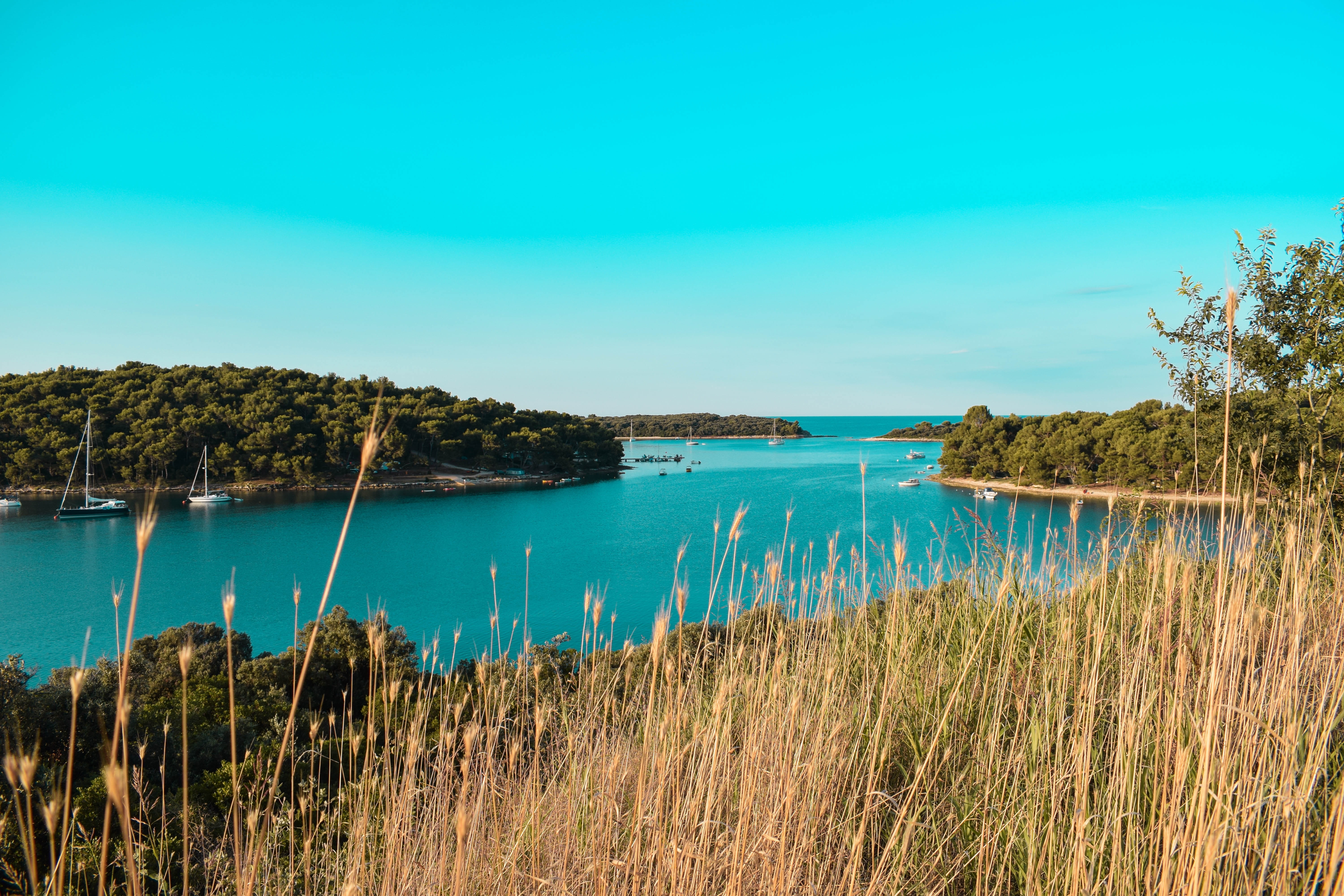 mood, grass, summer, island, turquoise, pula, sea, land, copy space, clear sky, croatia, outdoors, coast, mediterranean, day, nature, tranquility, plant, HD Wallpaper