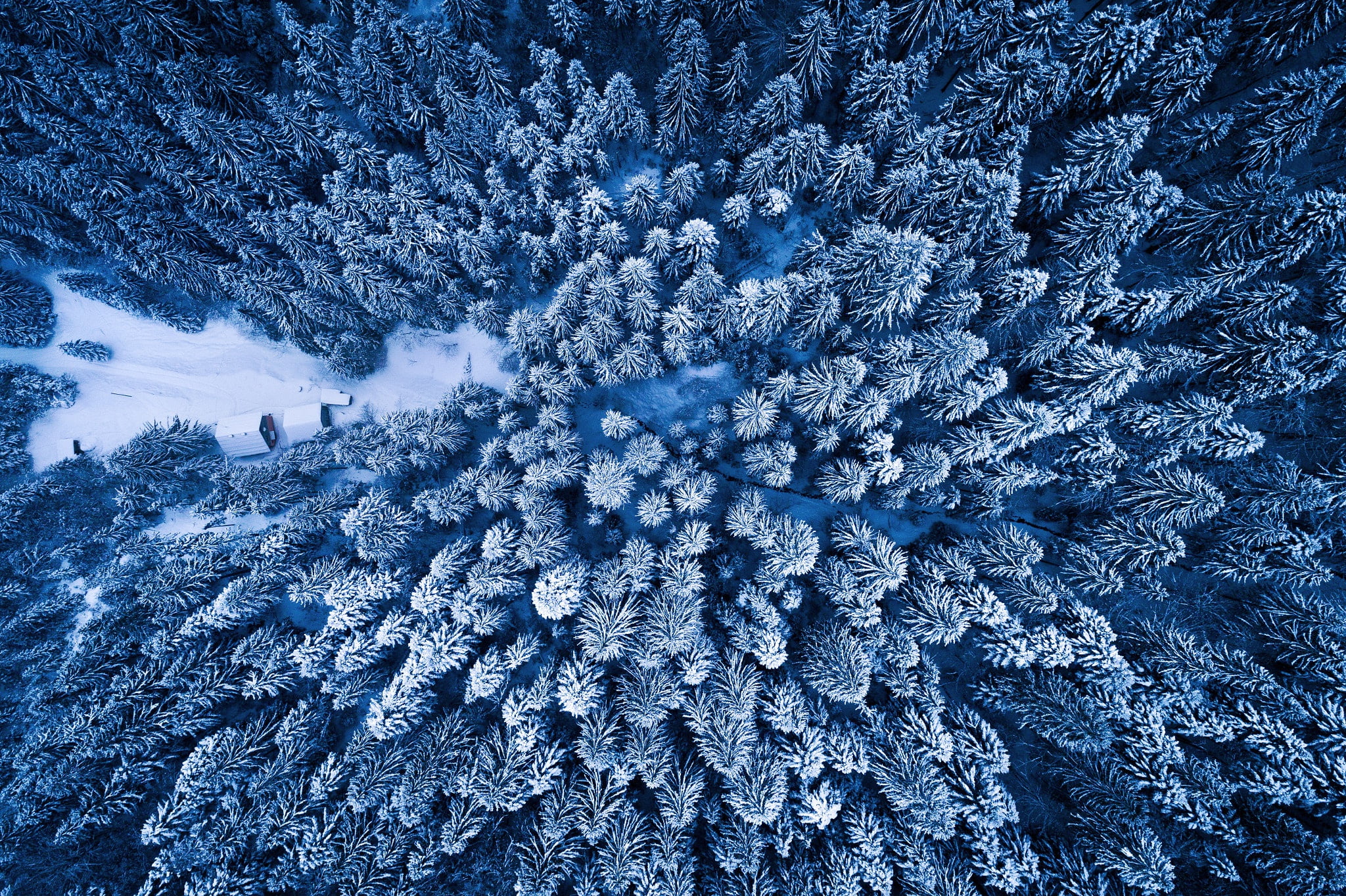 forest, Adnan Bubalo, 1080P, the view from the top, winter, HD Wallpaper