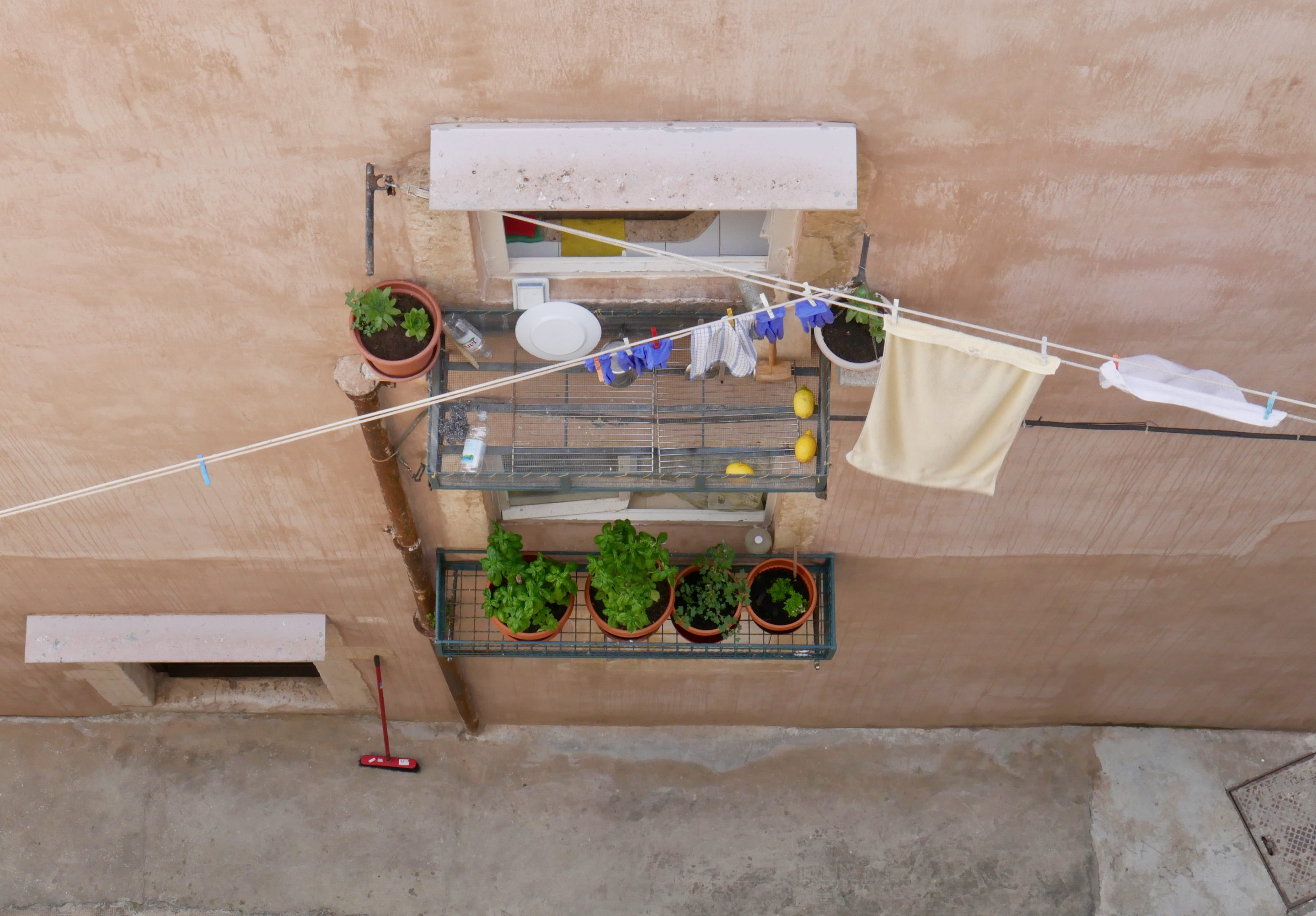 freshness, wood - material, plant, city, container, no people, growth, potted plant, hanging, day, architecture, balcony, healthy eating, HD Wallpaper