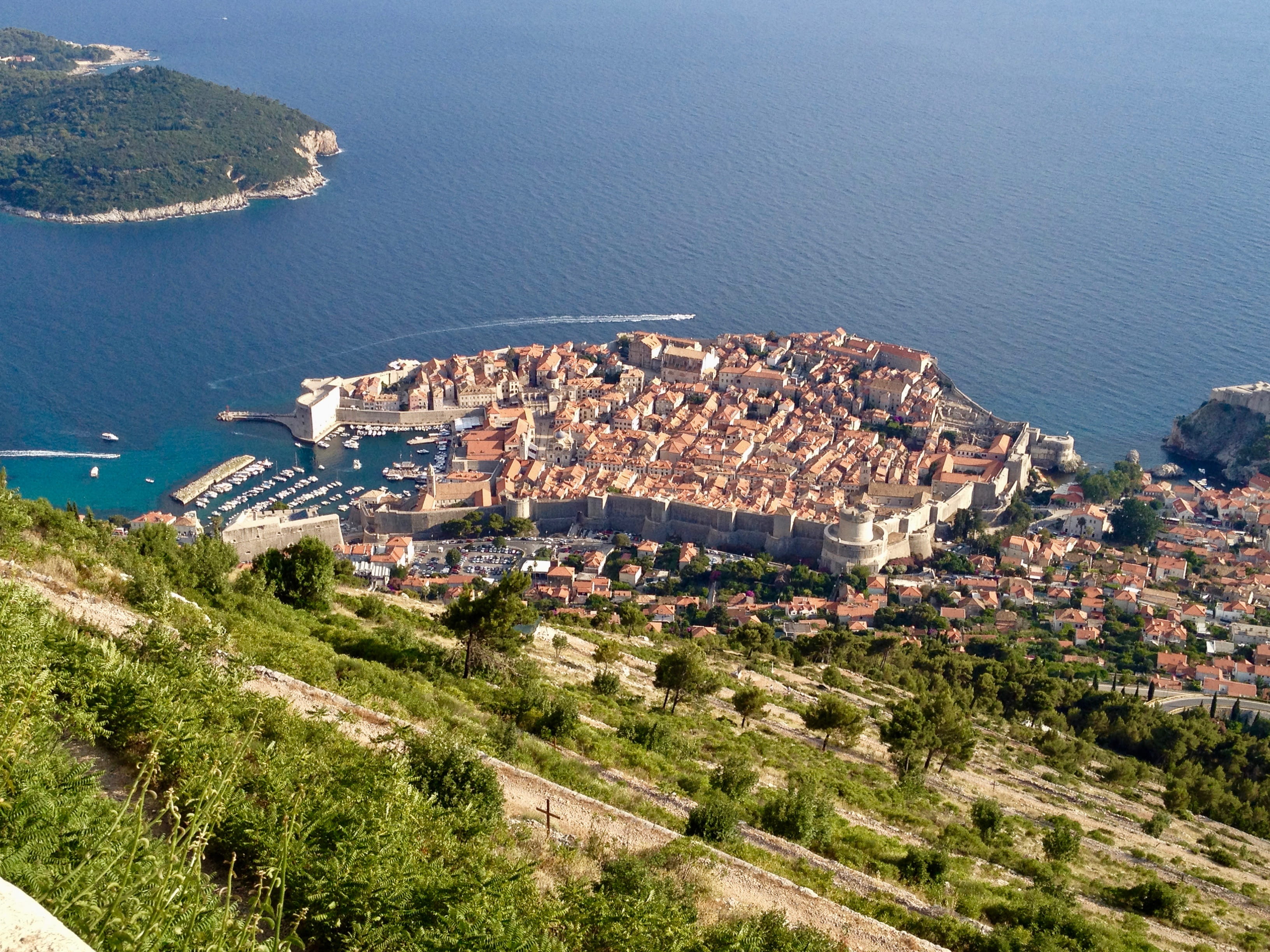 tree, aerial, high angle view, architecture, sea, residential district, 2K, building exterior, croatia, building, no people, dubrovnik, community, city wall, HD Wallpaper