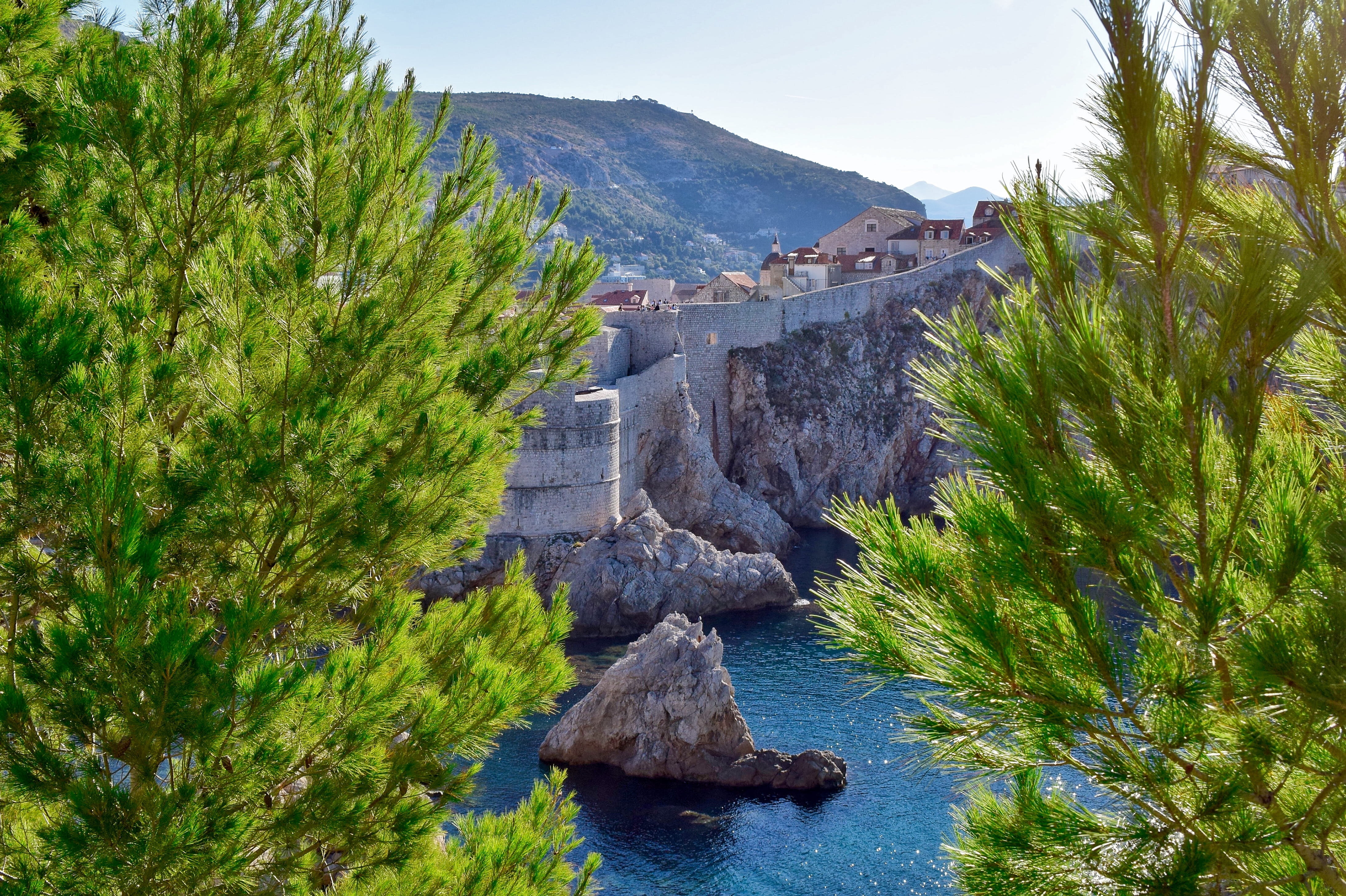 dubrovnik, tress, the past, rock, croatia, outdoors, plant, solid, 4K, rock - object, sea, tree, water, architecture, castle walls, history, land, scenics - nature, HD Wallpaper