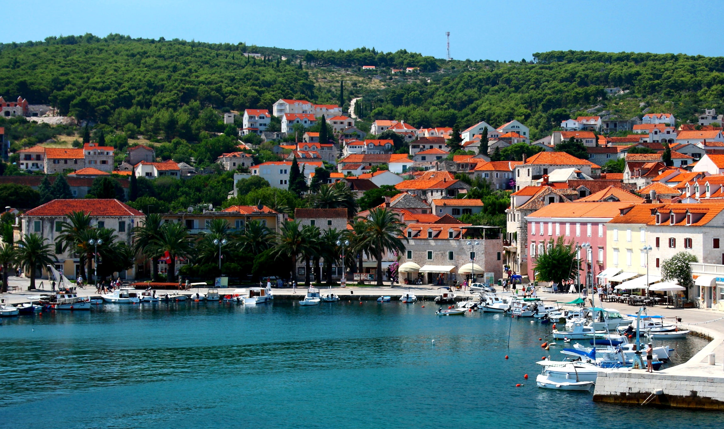 palm trees, Hvar, 1080P, slope, shore, boats, sea, trees, Croatia, island, home, HD Wallpaper