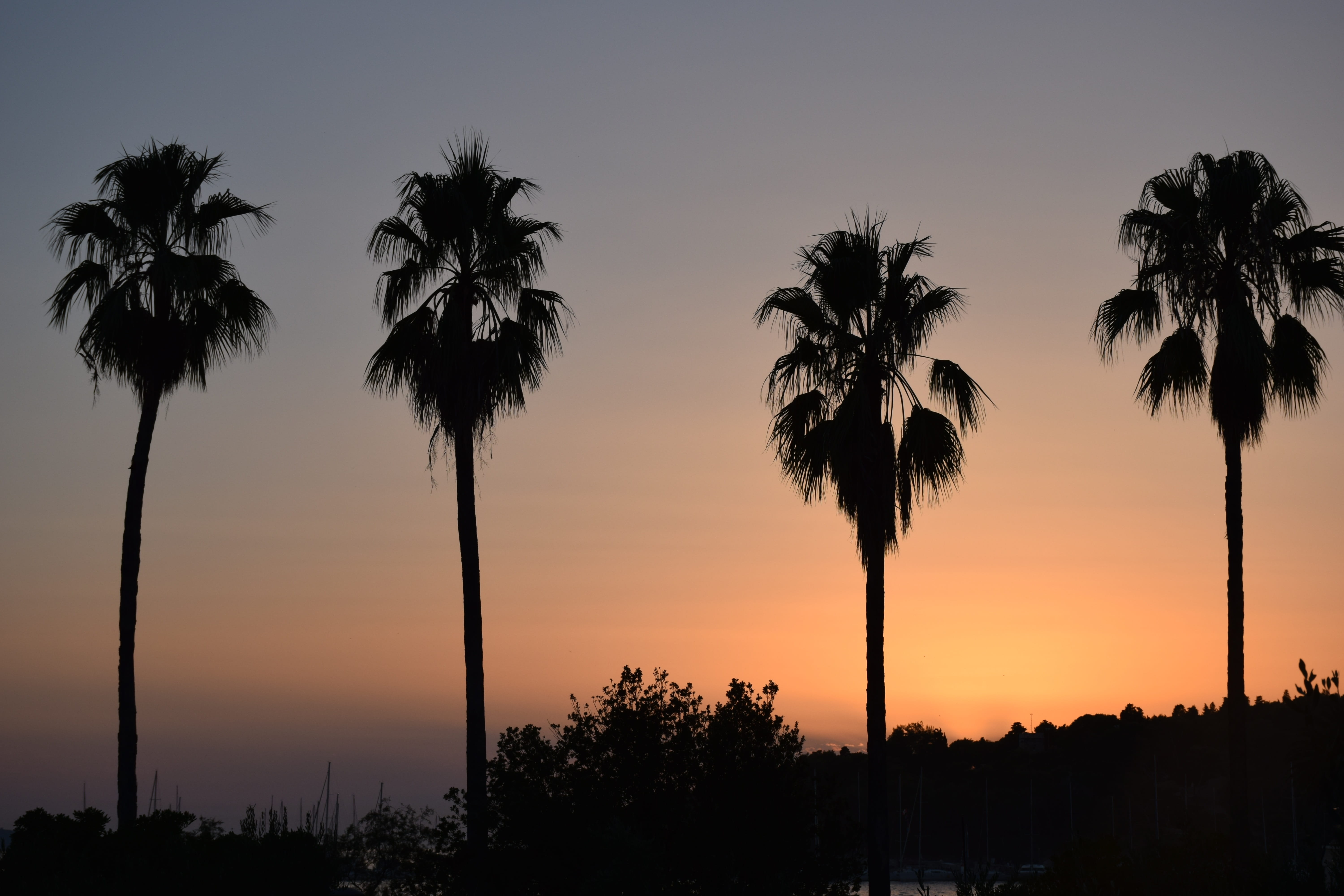 sunset, no people, scenics - nature, sky, low angle view, orange color, idyllic, tropical climate, 5K, outdoors, summer, tranquility, sea, tranquil scene, HD Wallpaper