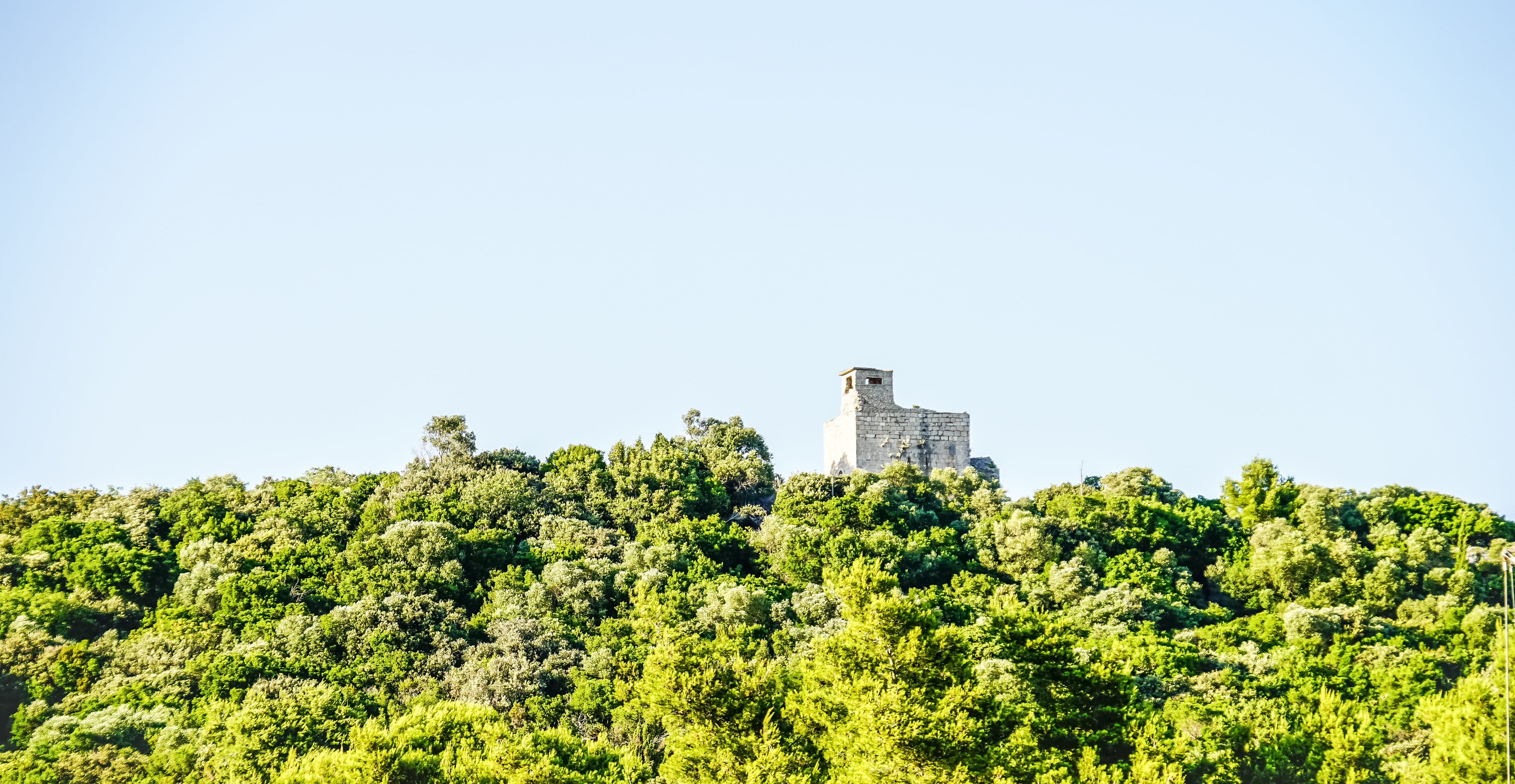 land, gray, tower, no people, plant, beauty in nature, blue, overlooking, scenics - nature, house, green color, treetop, growth, forest, nature, white, HD Wallpaper