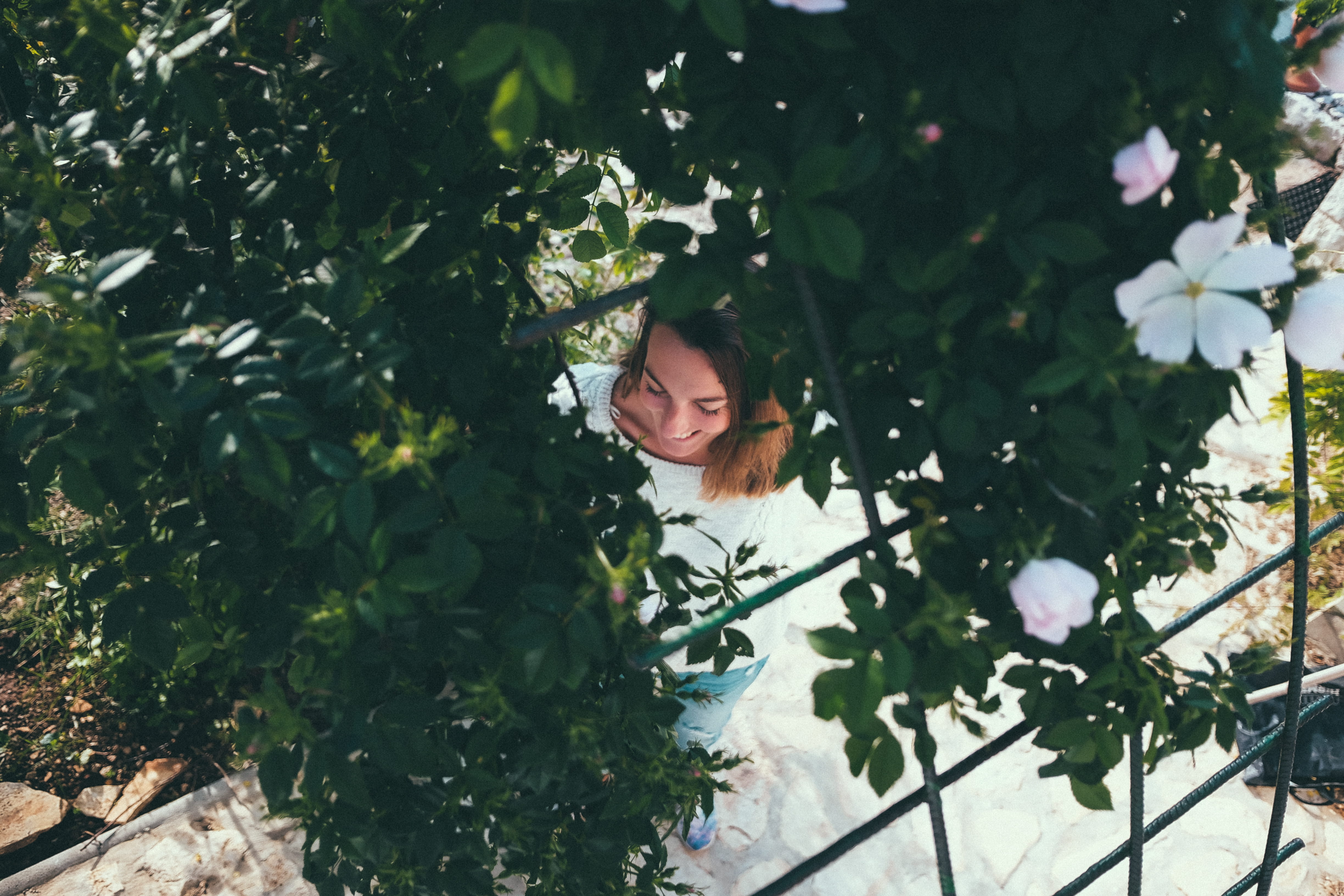 garden, green color, plant, mornings, laughing, beautiful woman, morning, woman, plant part, hair, outdoors, one person, young women, girl, day, front view, HD Wallpaper