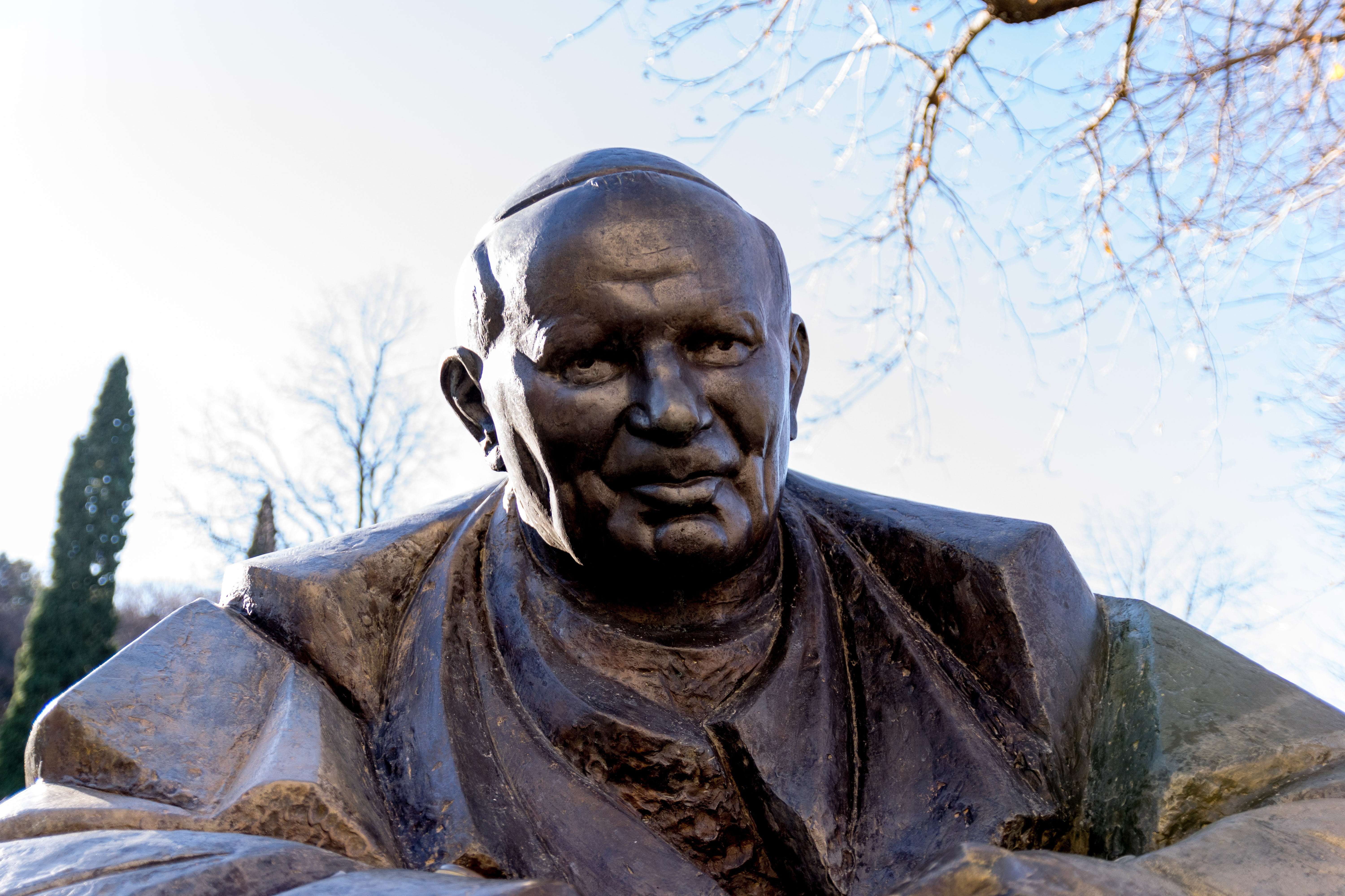 5K, sculpture, nature, plant, spirituality, focus on foreground, male likeness, trsat, croatia, representation, clear sky, front view, pope, statue, looking at camera, HD Wallpaper