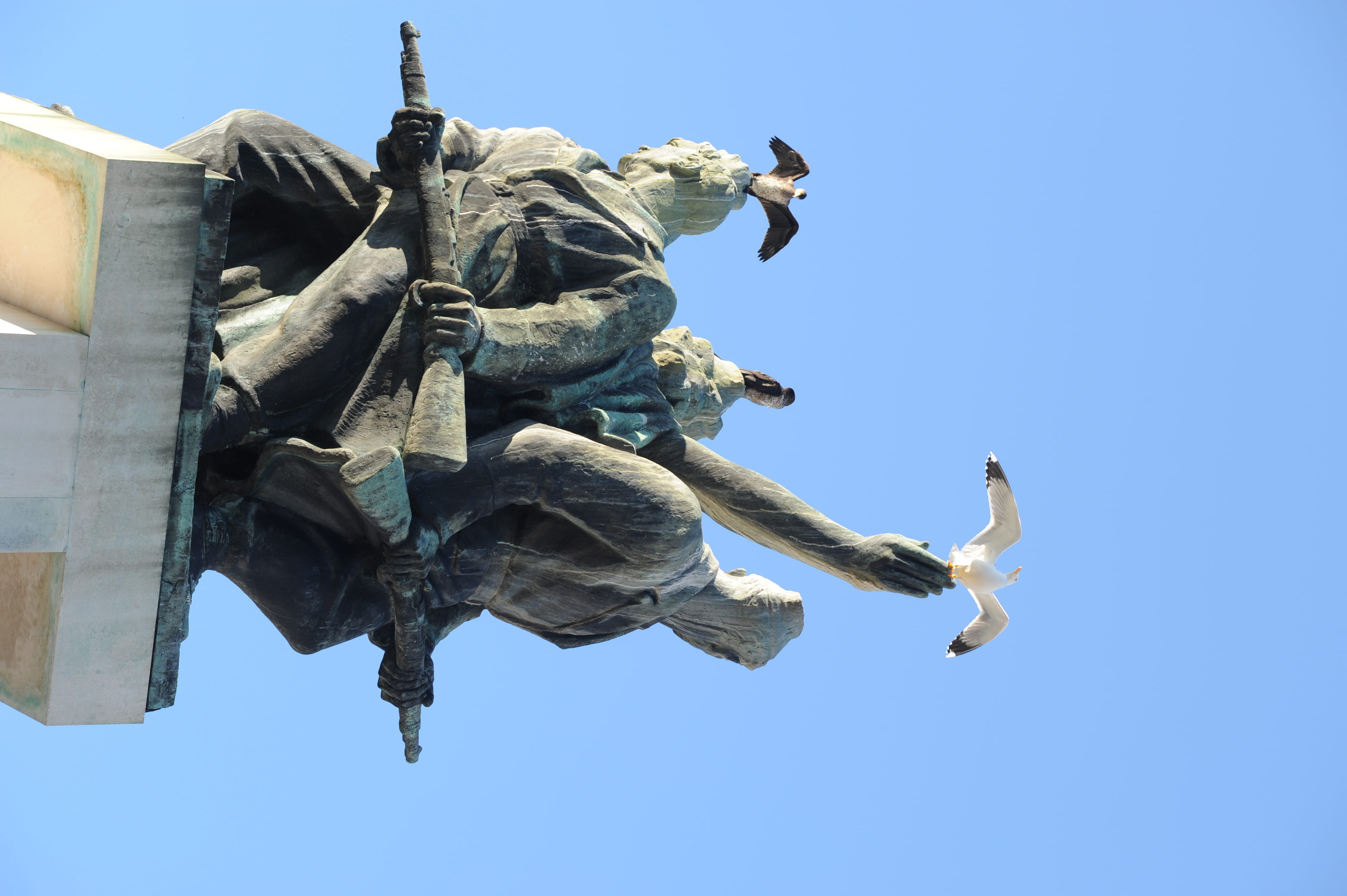 clear sky, bird, croatia, nature, no people, blue, sculpture, 4K, rijeka, human representation, creativity, statue, outdoors, art and craft, travel destinations, HD Wallpaper