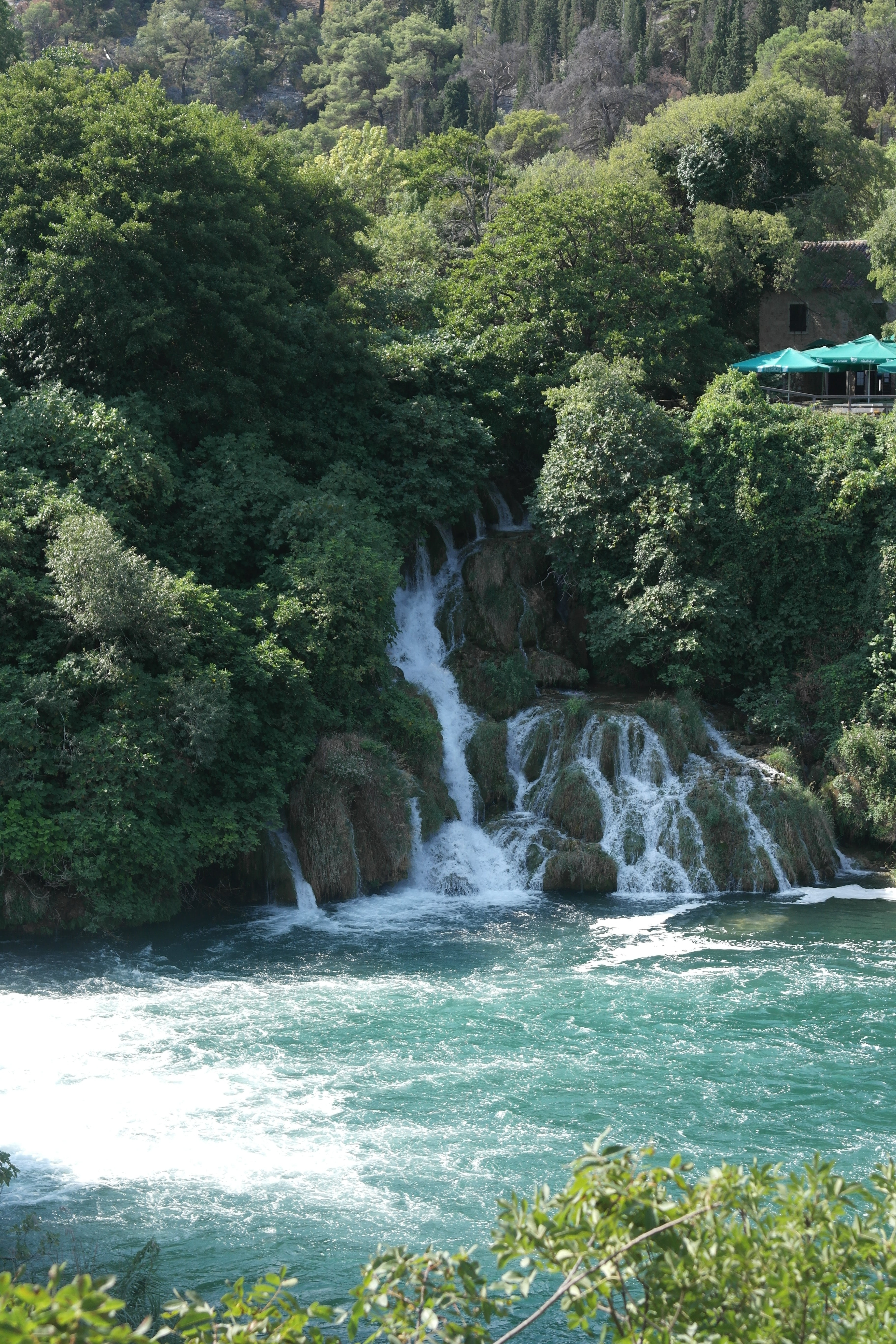 water fall, day, nature, river, holidays, power in nature, tree, 5K, waterfall, beauty in nature, krka, growth, flowing water, trip, green color, forest, Phone HD Wallpaper
