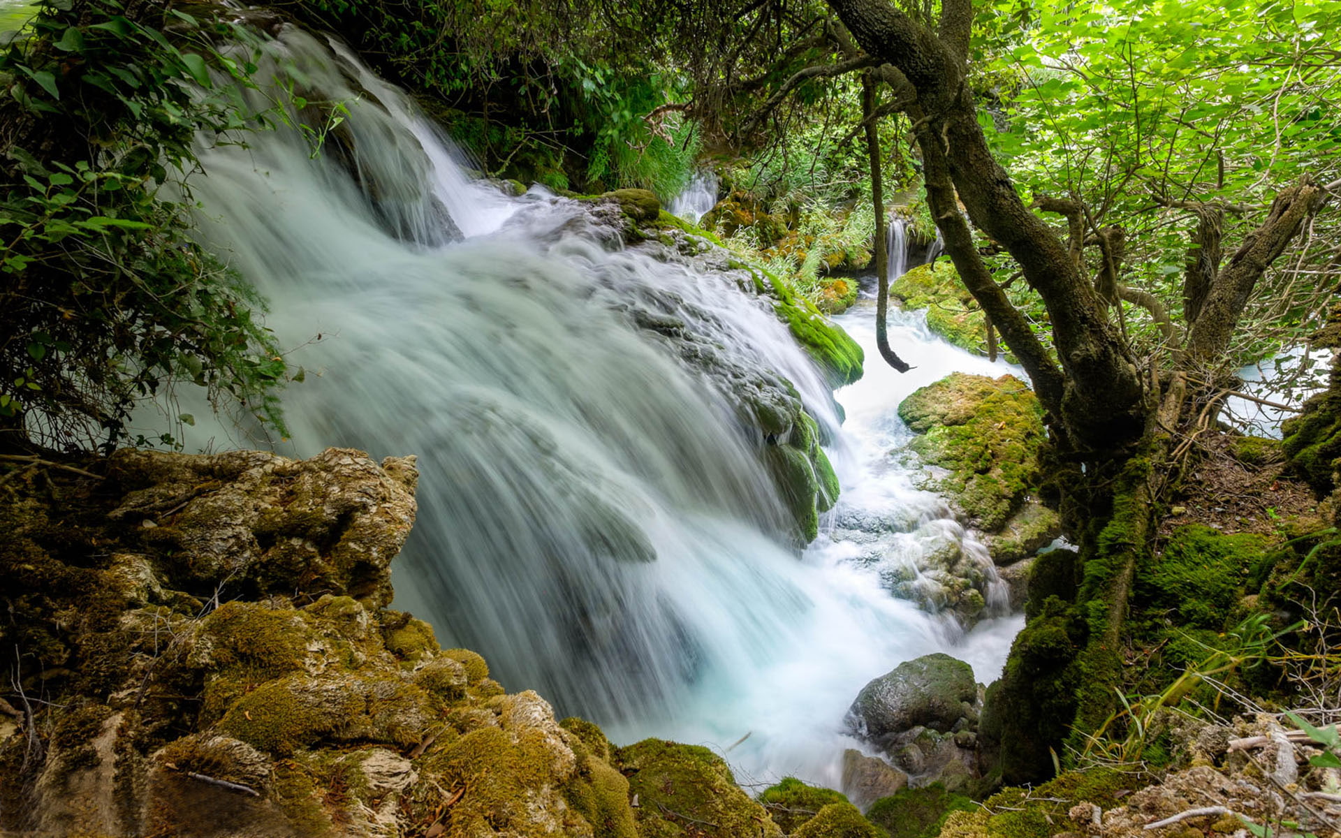 krka, plitvice, park, small, river, hd, croatia, desktop, 1080P, national, waterfall, HD Wallpaper
