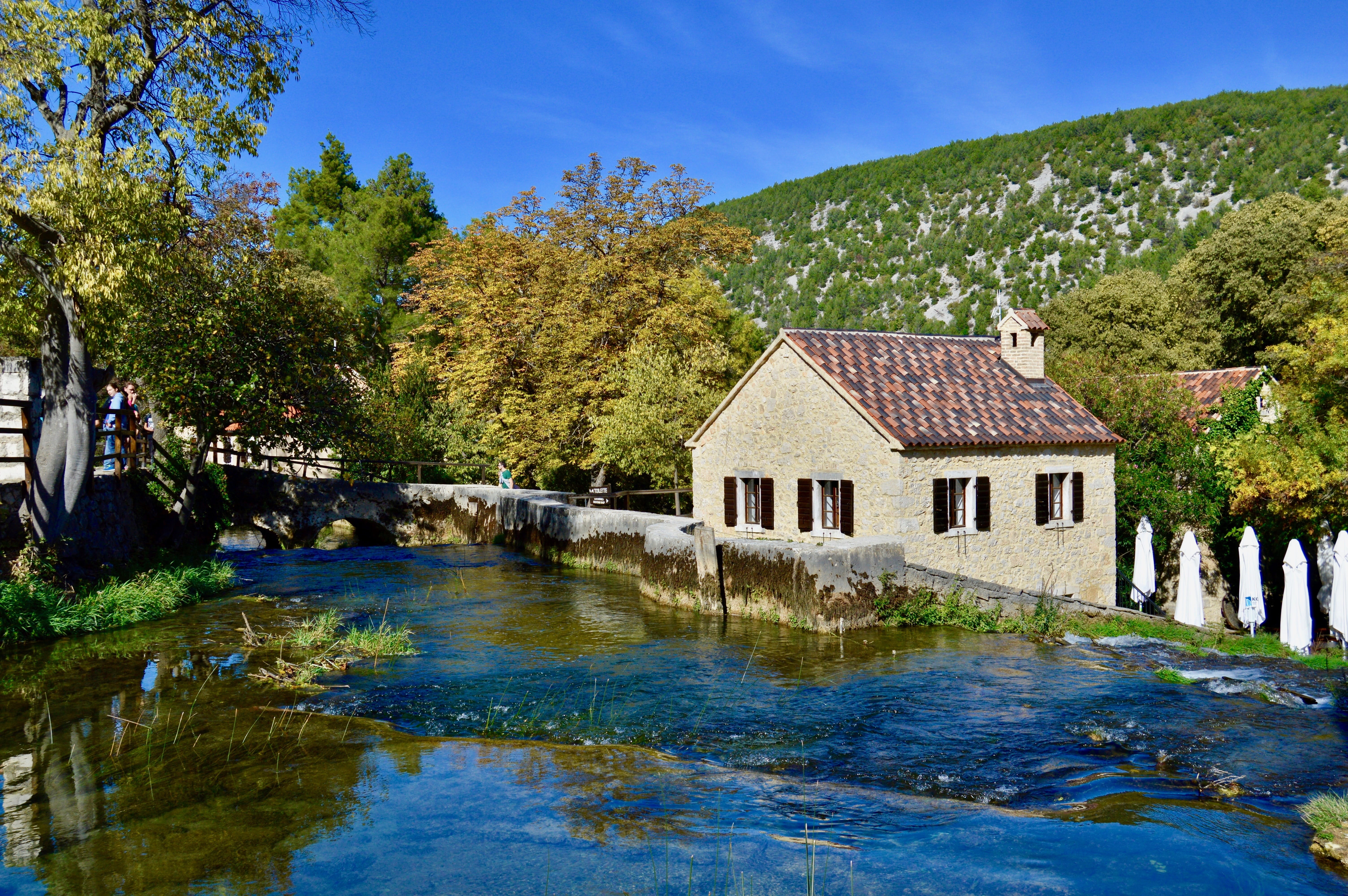 plant, river, green color, croatia, building exterior, sky, architecture, tranquility, beauty in nature, tree, natural park, day, house, nature, building, HD Wallpaper