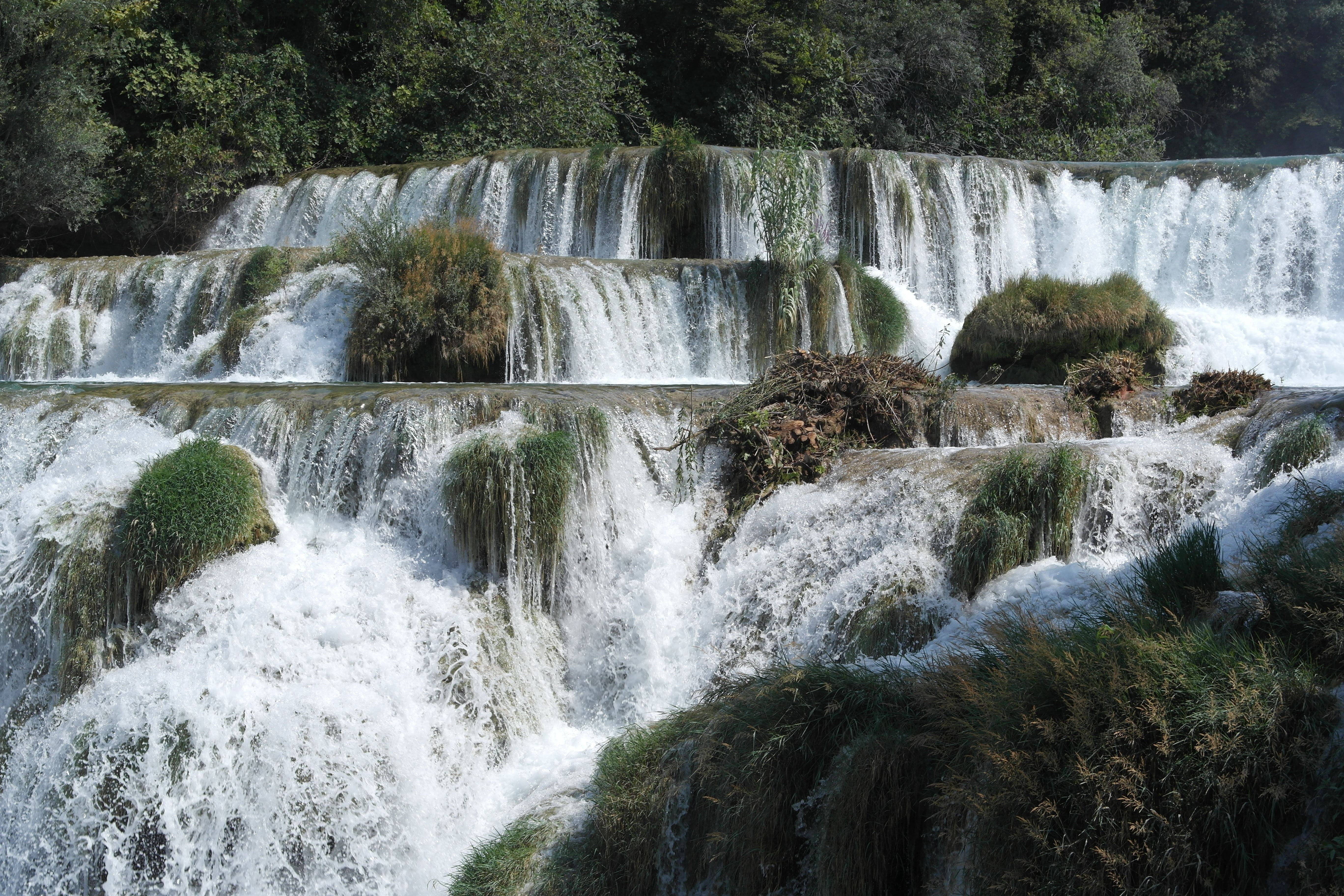 landscape, freshness, long exposure, river, falls, beauty in nature, plant, tropical Rainforest, scenics, water, outdoors, motion, power in nature, tree, HD Wallpaper