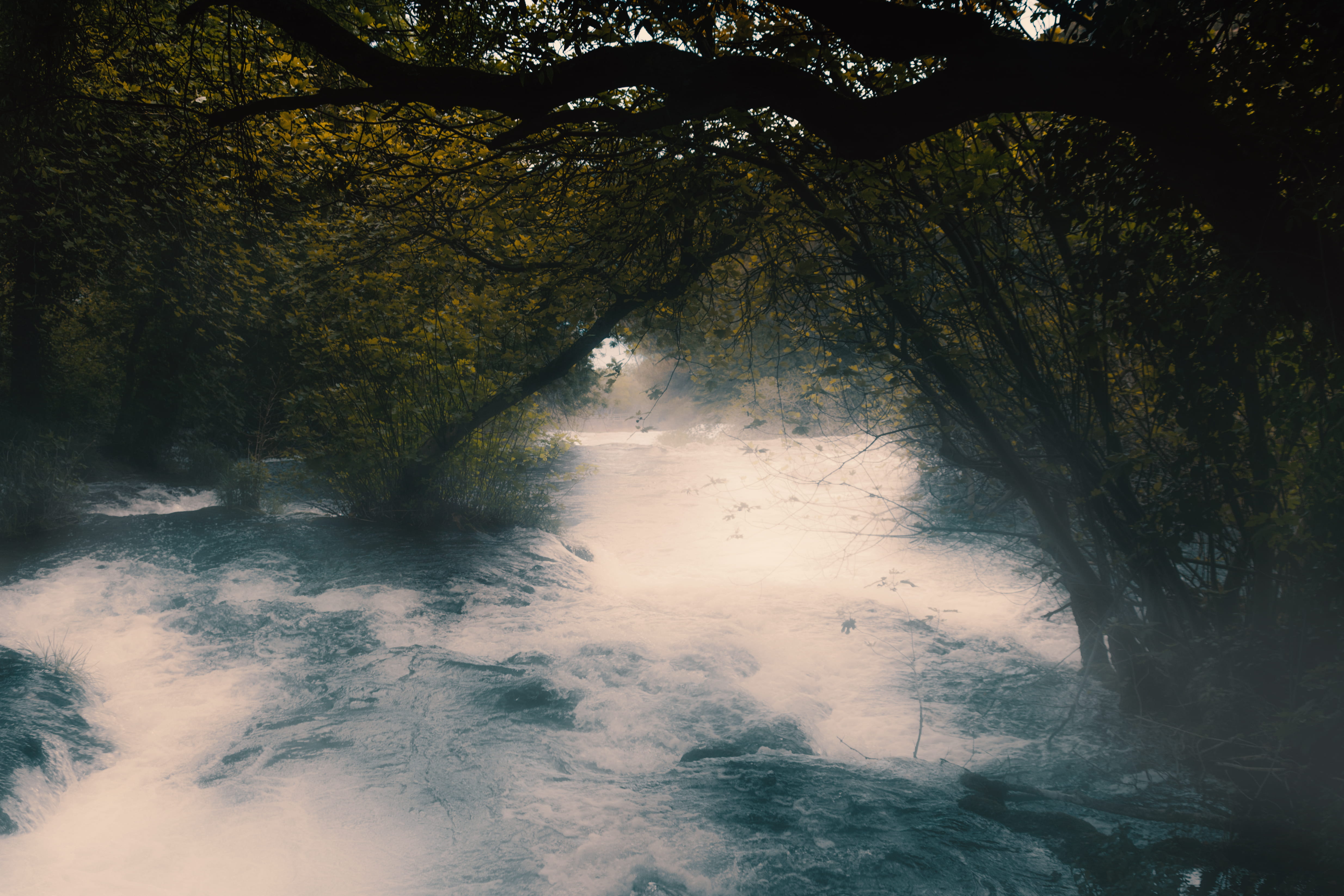river, land, forest, beauty in nature, lozovac, croatia, water, flowing water, plant, non-urban scene, fog, mist, trees, lake, outdoors, dark, no people, HD Wallpaper