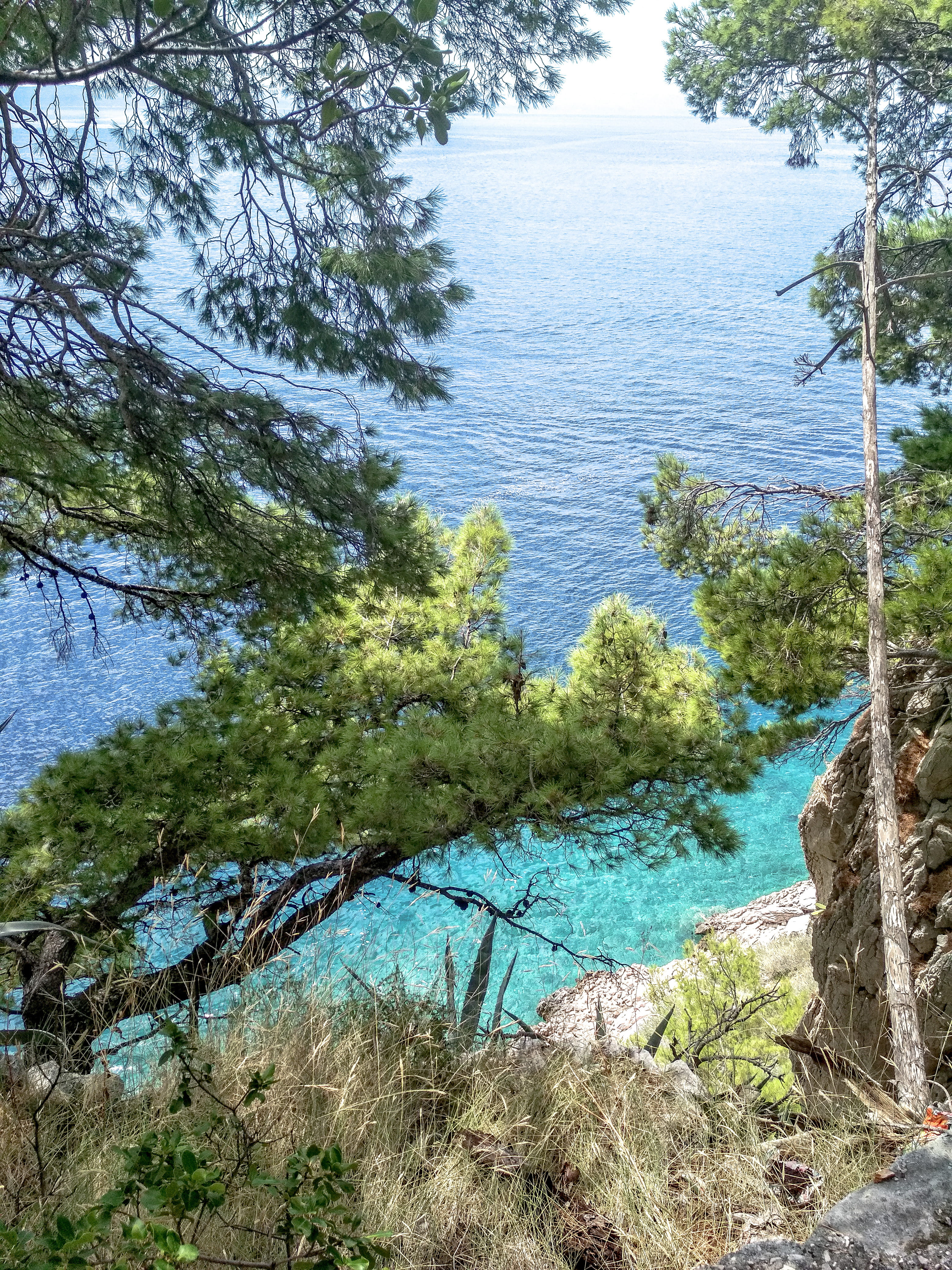 outdoors, tranquility, tree, beauty in nature, lake, croatia, nature, growth, no people, sea, plant, tranquil scene, land, makarska, nature backgrounds, Phone HD Wallpaper