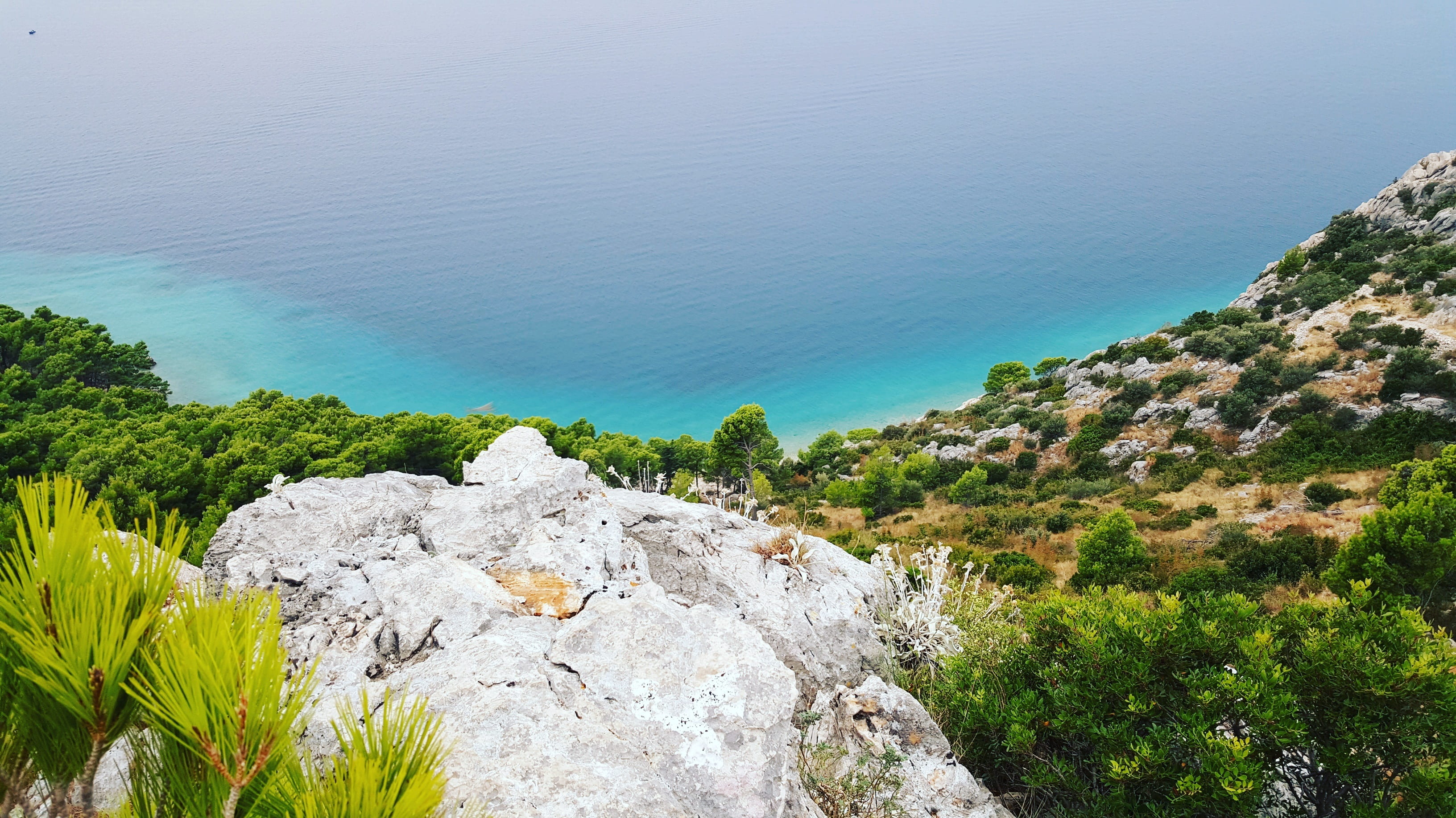 day, 2K, rock - object, no people, water, outdoors, solid, high angle view, makarska, beach, growth, beauty in nature, scenics - nature, rock, plant, nature, HD Wallpaper