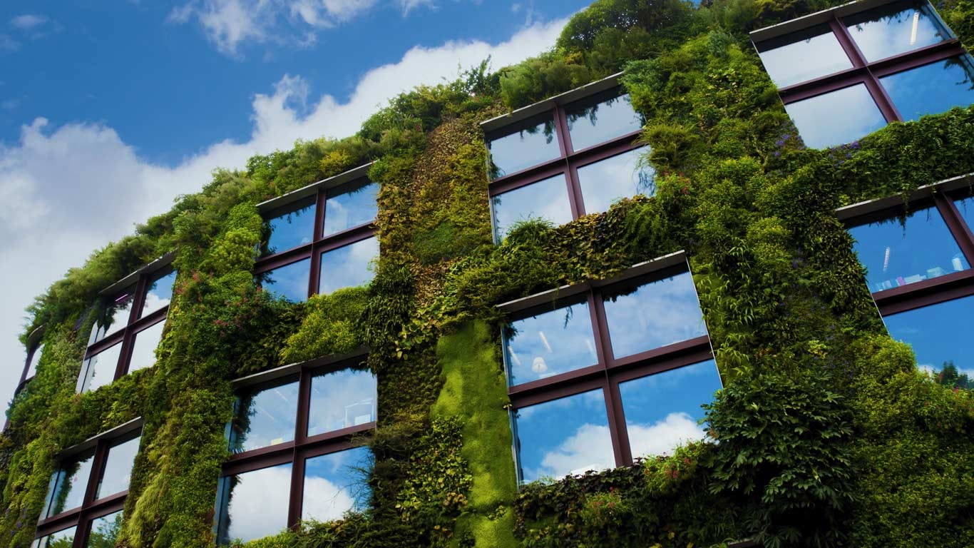 building, abandoned, window, day, outdoors, built structure, industry, growth, branly, cloud - sky, 720P, quai, low angle view, glass - material, plant, HD Wallpaper