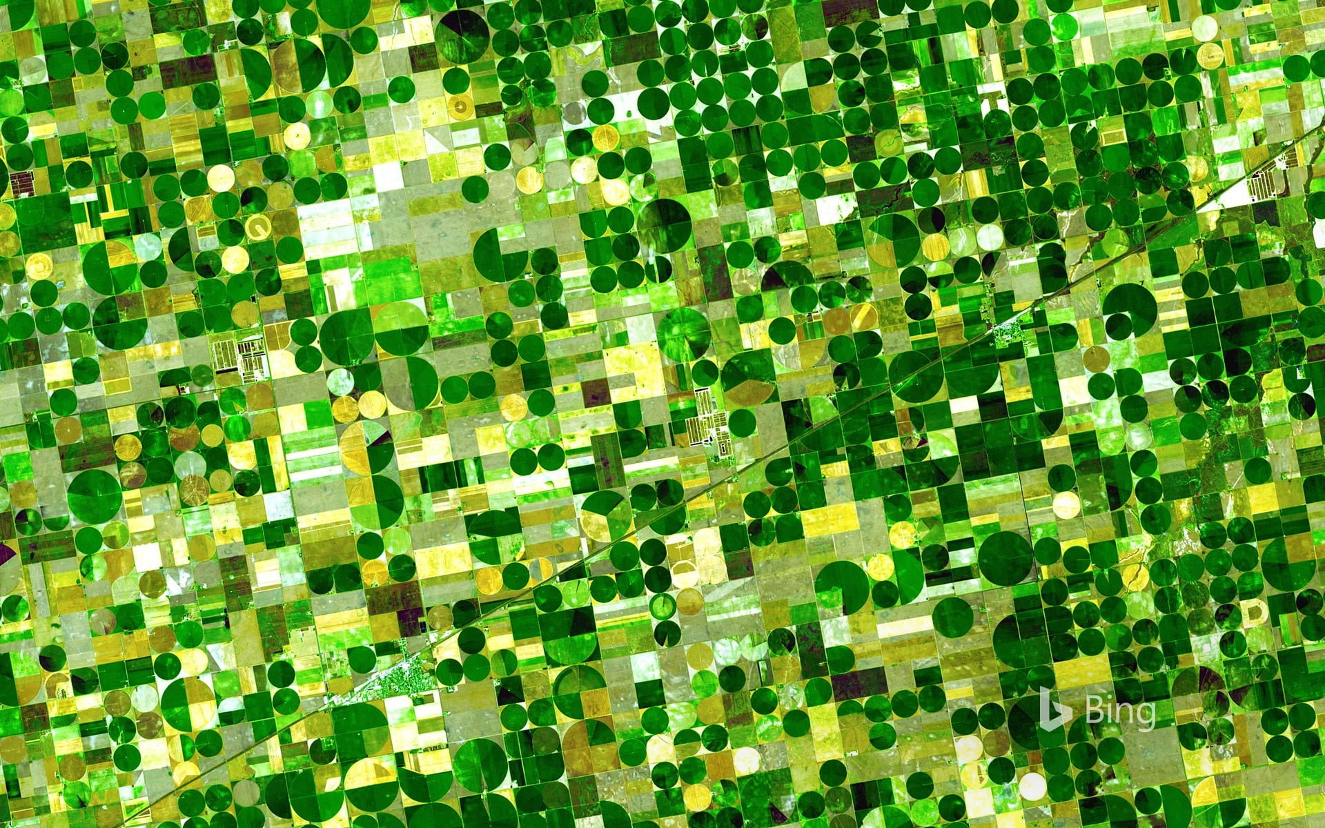 bing, backgrounds, outdoors, deskto, repetition, plots, nature, abundance, day, shape, green color, 1080P, beauty in nature, pattern, abstract, kansas, HD Wallpaper