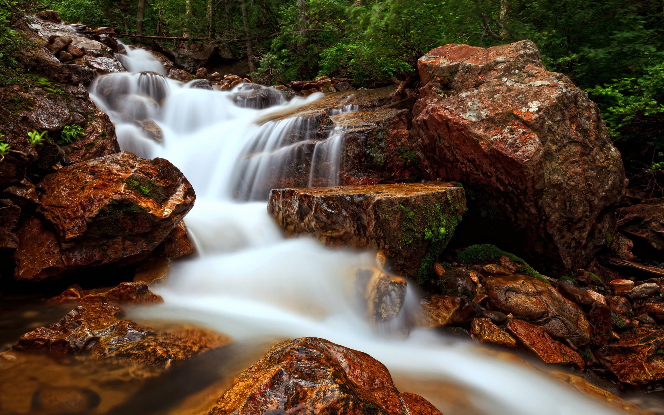 rock - object, stream - flowing water, outdoors, flowing, beautiful, water, tree, deskto, motion, hd, flowing water, plant, forest, rock, no people, 2K, HD Wallpaper