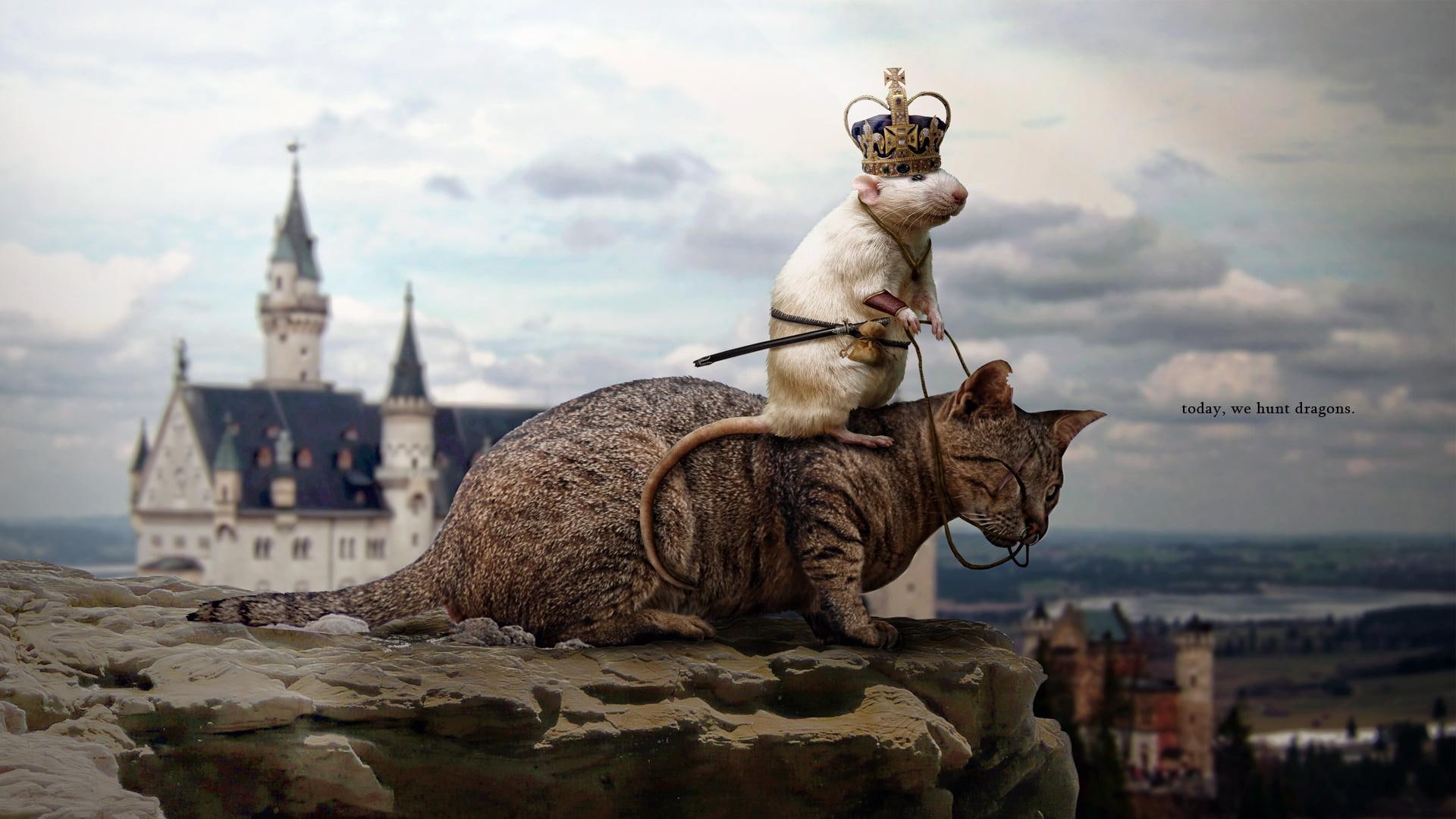 king, rat, dragon, hunt, animals, 1080P, HD Wallpaper