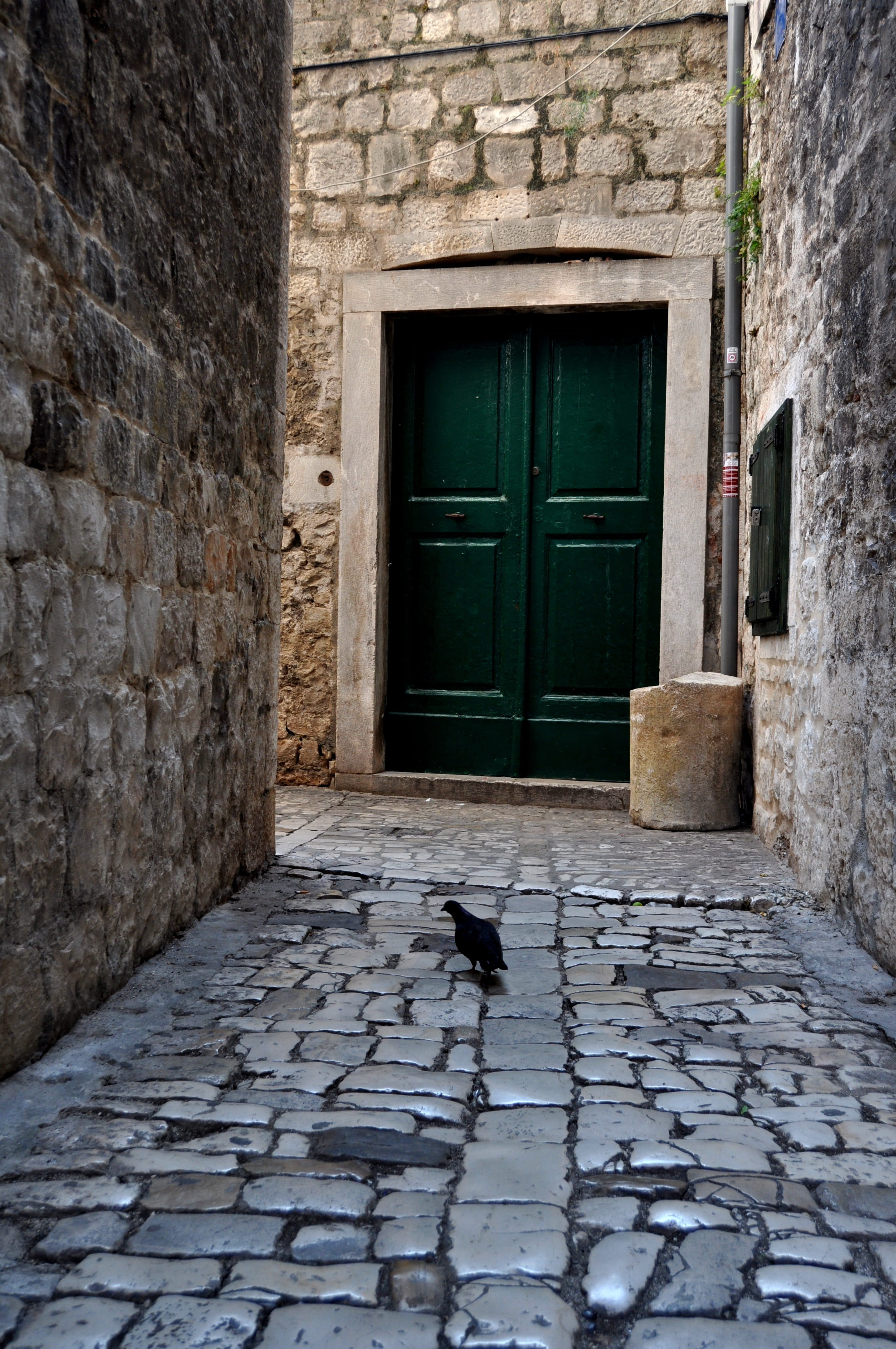 mammal, day, wall - building feature, wall, vertebrate, stone, travel, unesco, door, doorway, dalmatia, Street, 4K, no people, destination, animal, outdoors, Phone HD Wallpaper