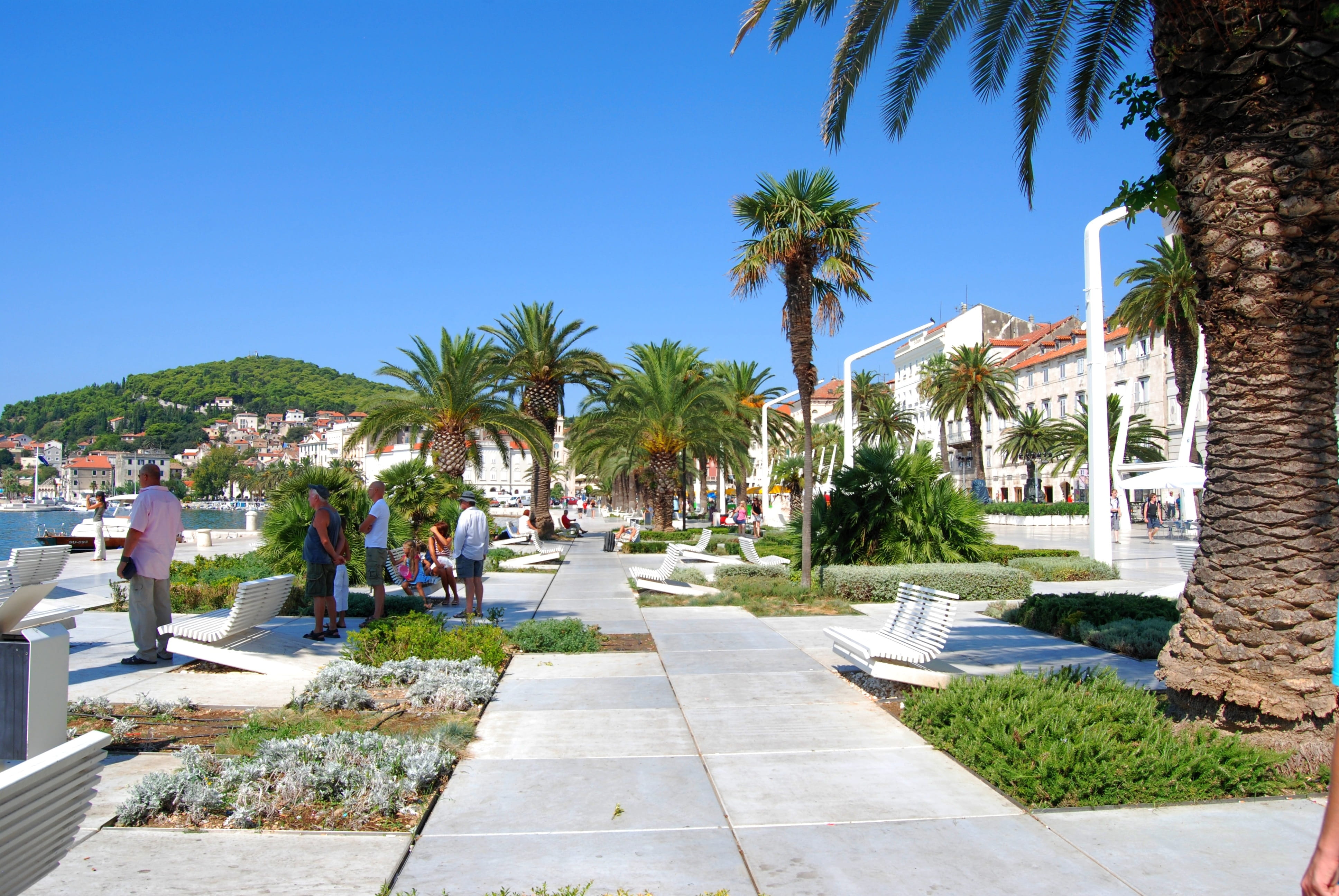 dalmacija, hotel, architecture, group of people, swimming pool, summer, outdoors, tree, tropical climate, pool, plant, building exterior, footpath, resort, HD Wallpaper