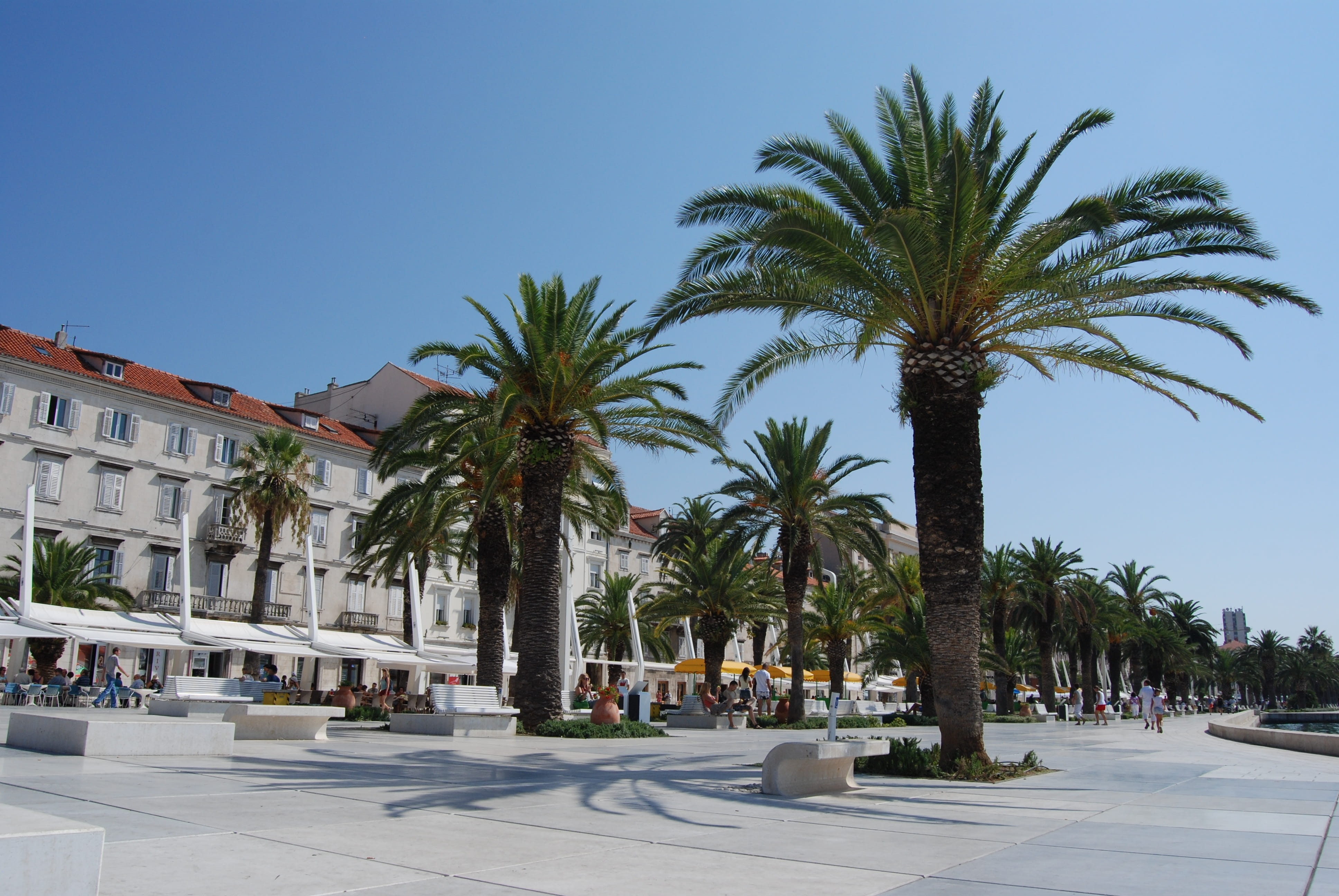 built structure, clear sky, incidental people, dalmacija, tourism, architecture, split, treelined, blue, palm tree, outdoors, sunlight, tree, sky, 4K, HD Wallpaper