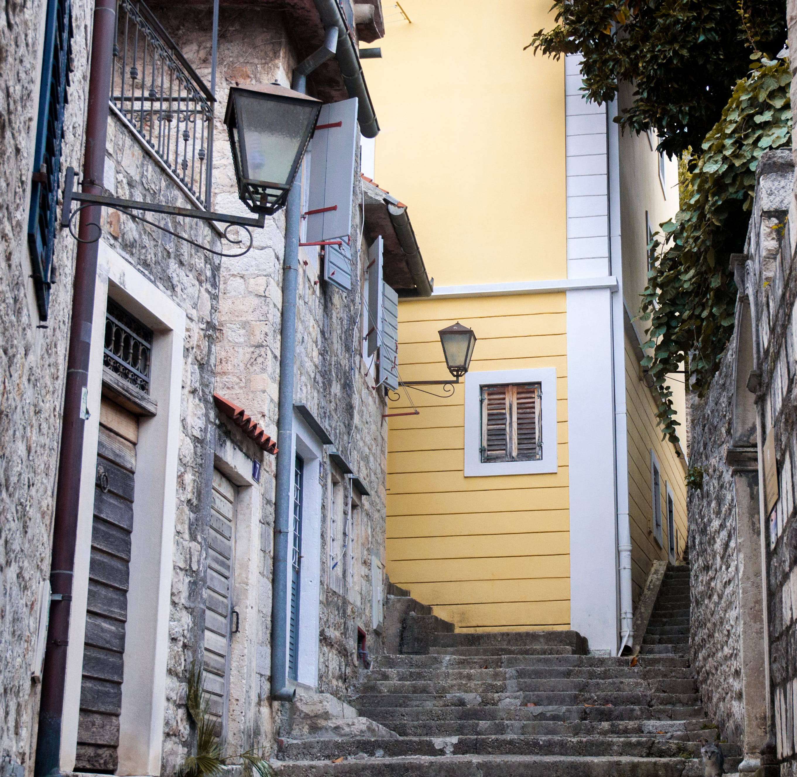 house, city, staircase, montenegro, day, low angle view, window, 2K, alley, building, plant, architecture, the way forward, building exterior, no people, HD Wallpaper