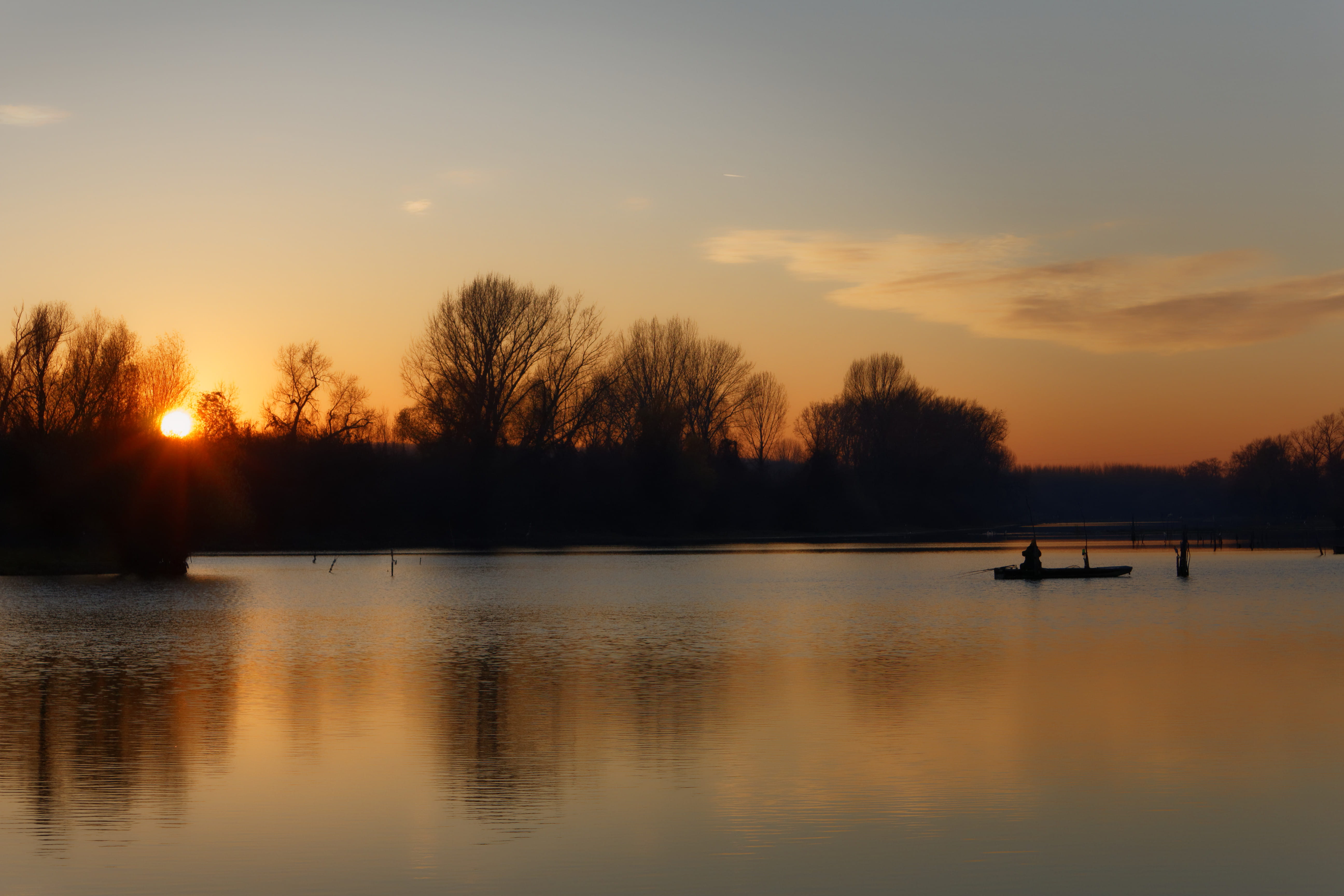 tree, plant, reflection, novi sad, tranquility, tranquil scene, silhouette, idyllic, water, orange color, non-urban scene, beauty in nature, outdoors, 5K, HD Wallpaper